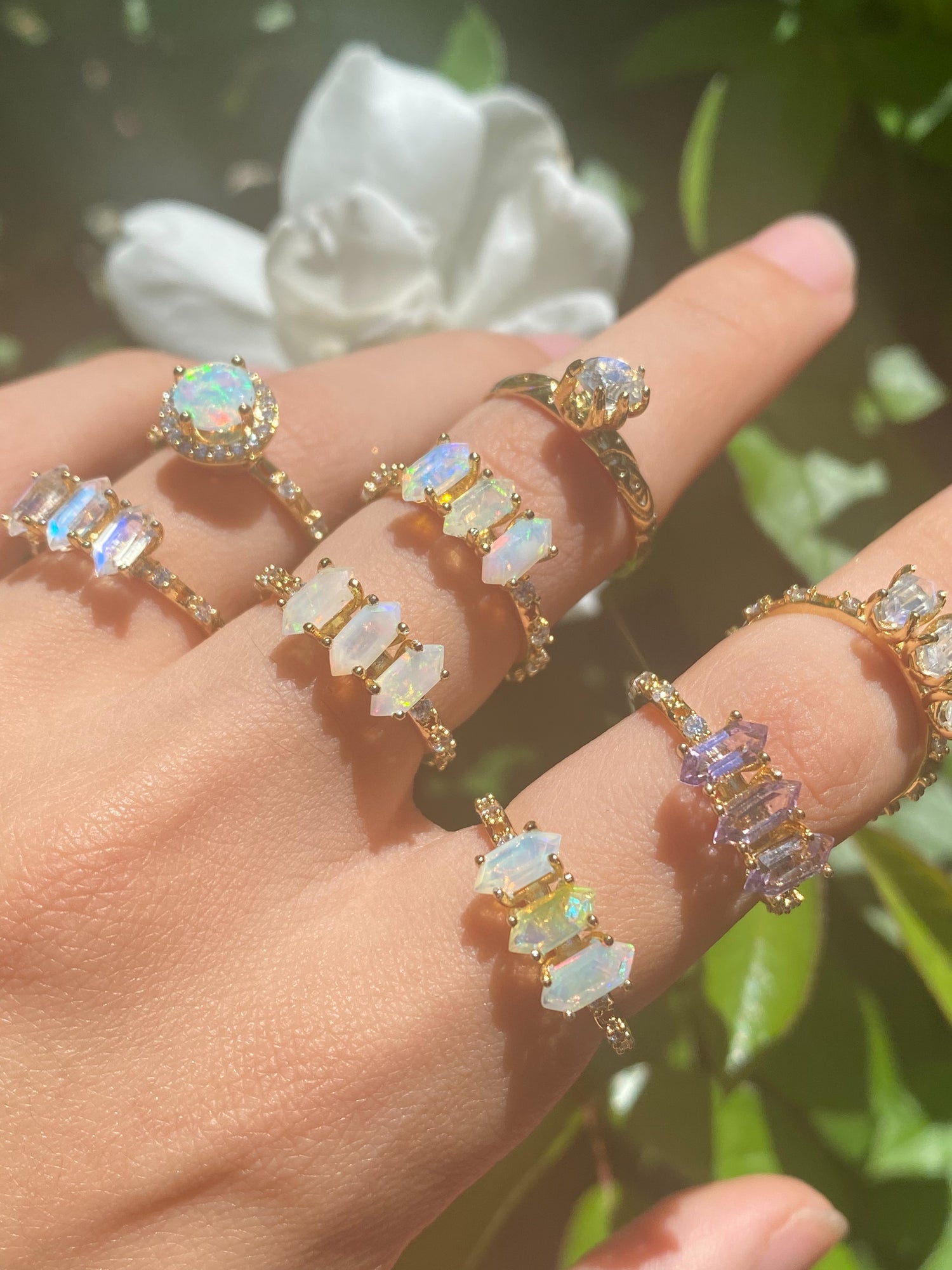Anillos