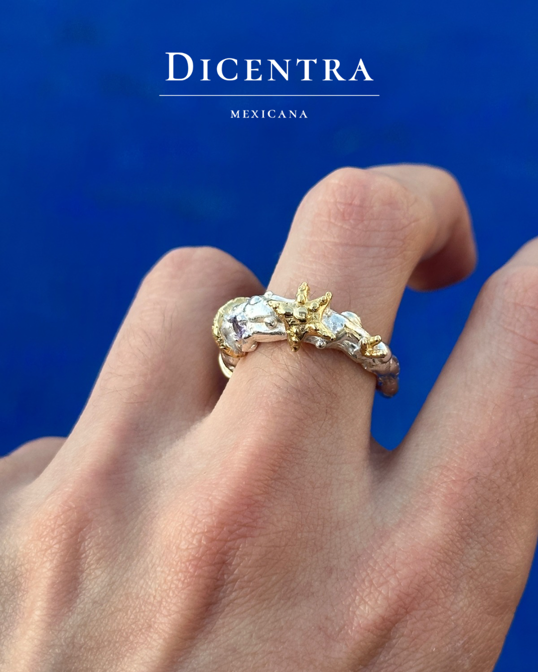 Anillo mar