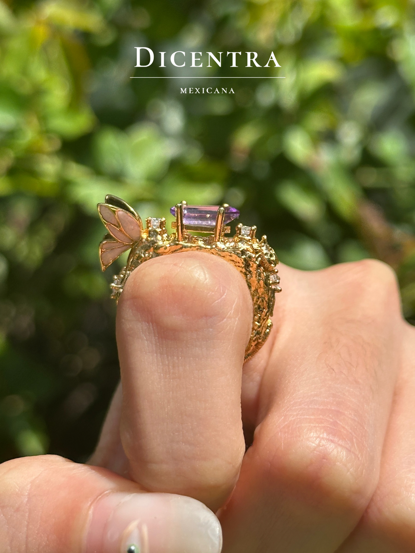 Anillo Mariposa (intervenido)