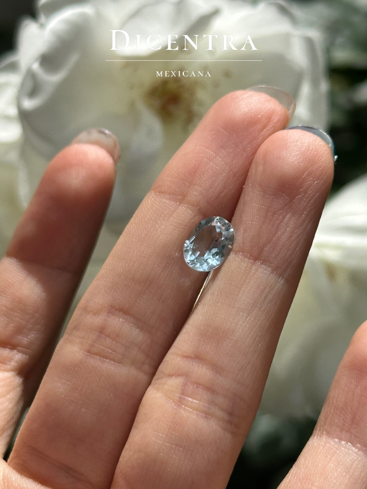 Anillo Kamil Topacio