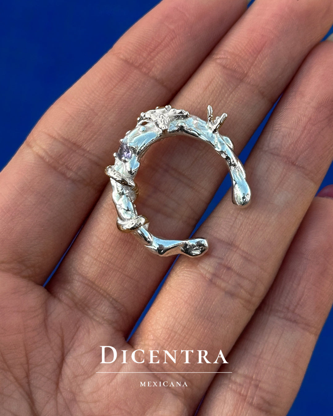 Anillo mar