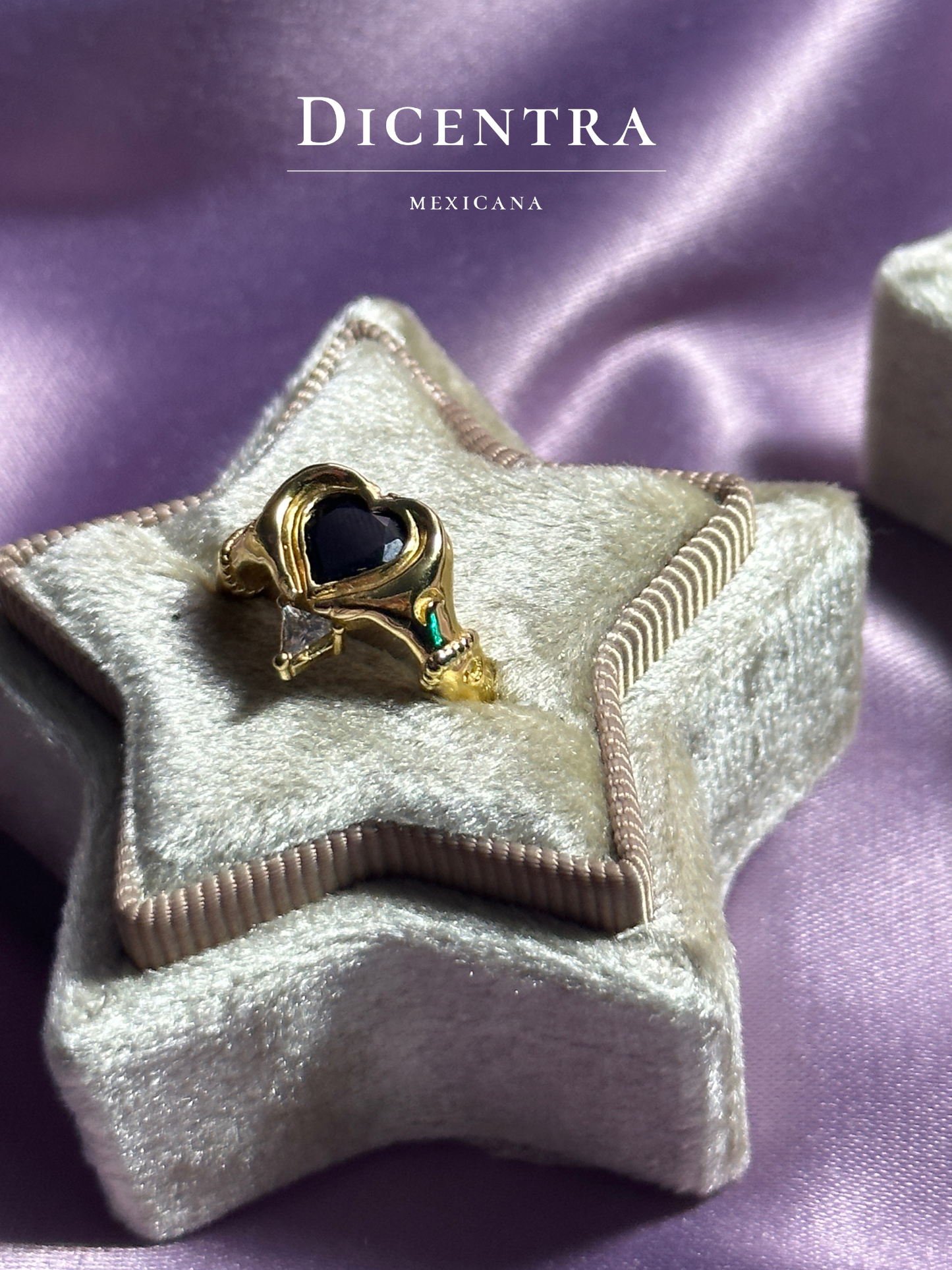 Anillo Eternidad (Envío inmediato)