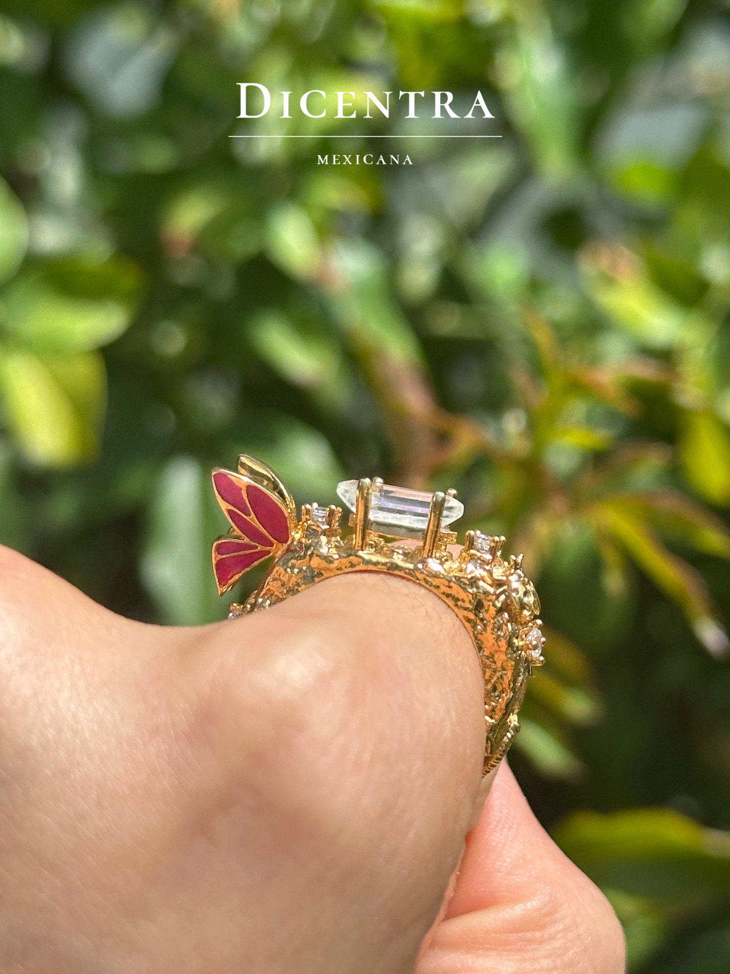 Anillo Mariposa (intervenido)