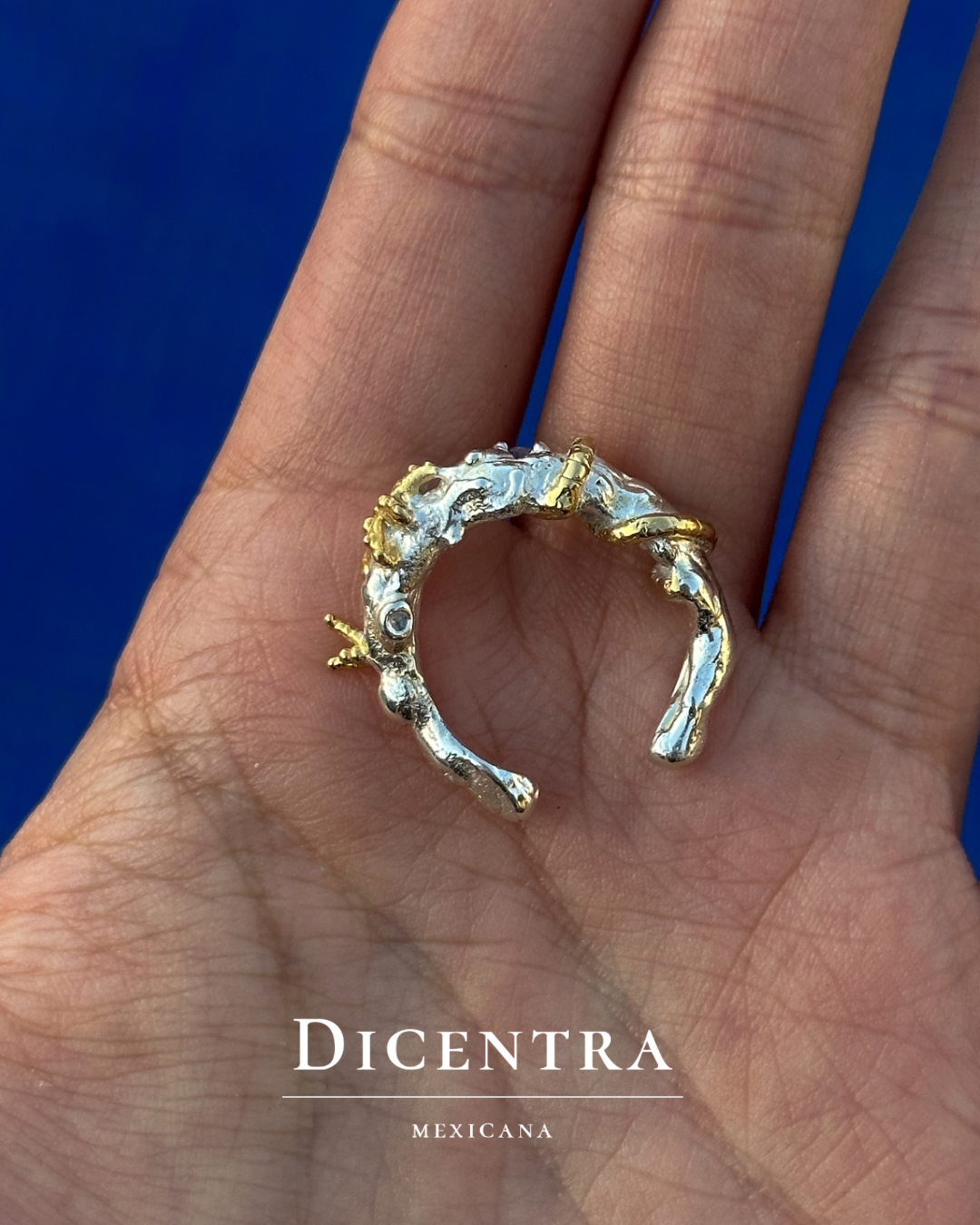 Anillo mar