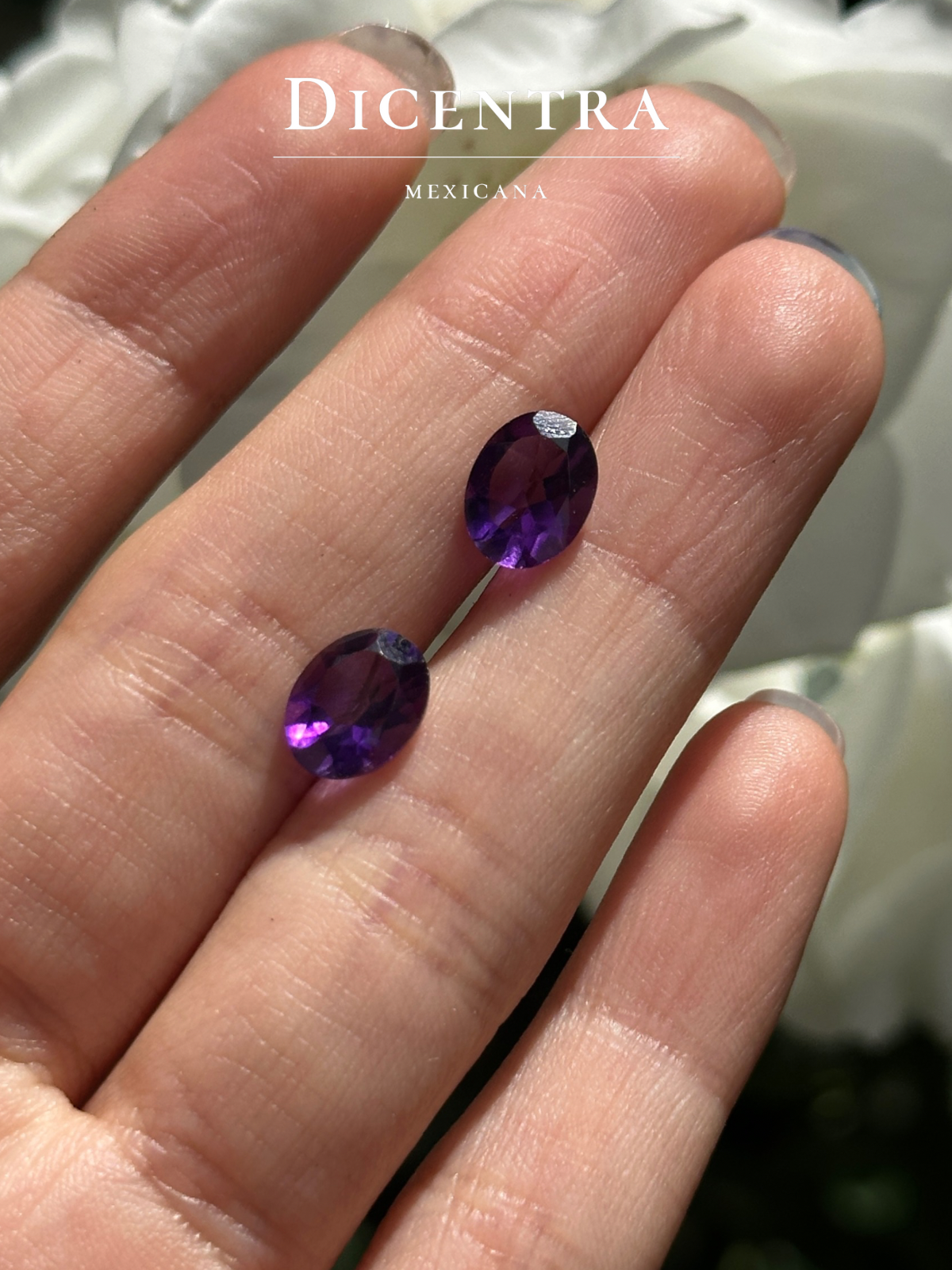 Anillo Kamil amatista