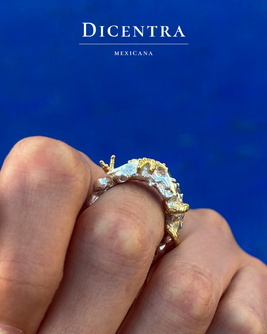 Anillo mar