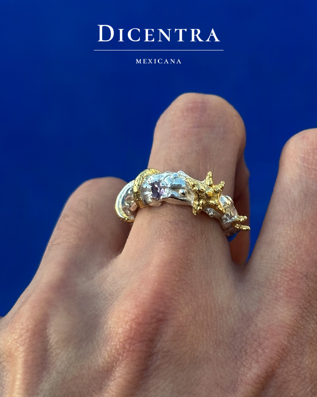 Anillo mar