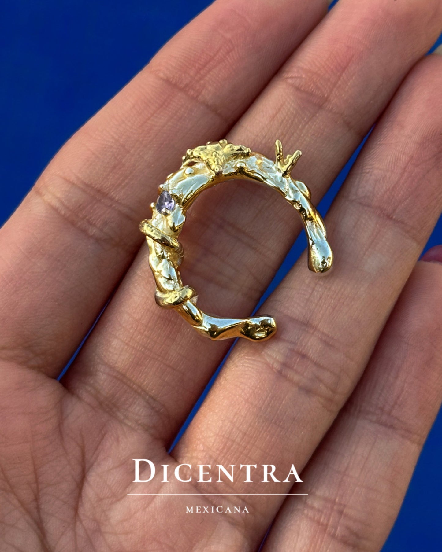 Anillo mar