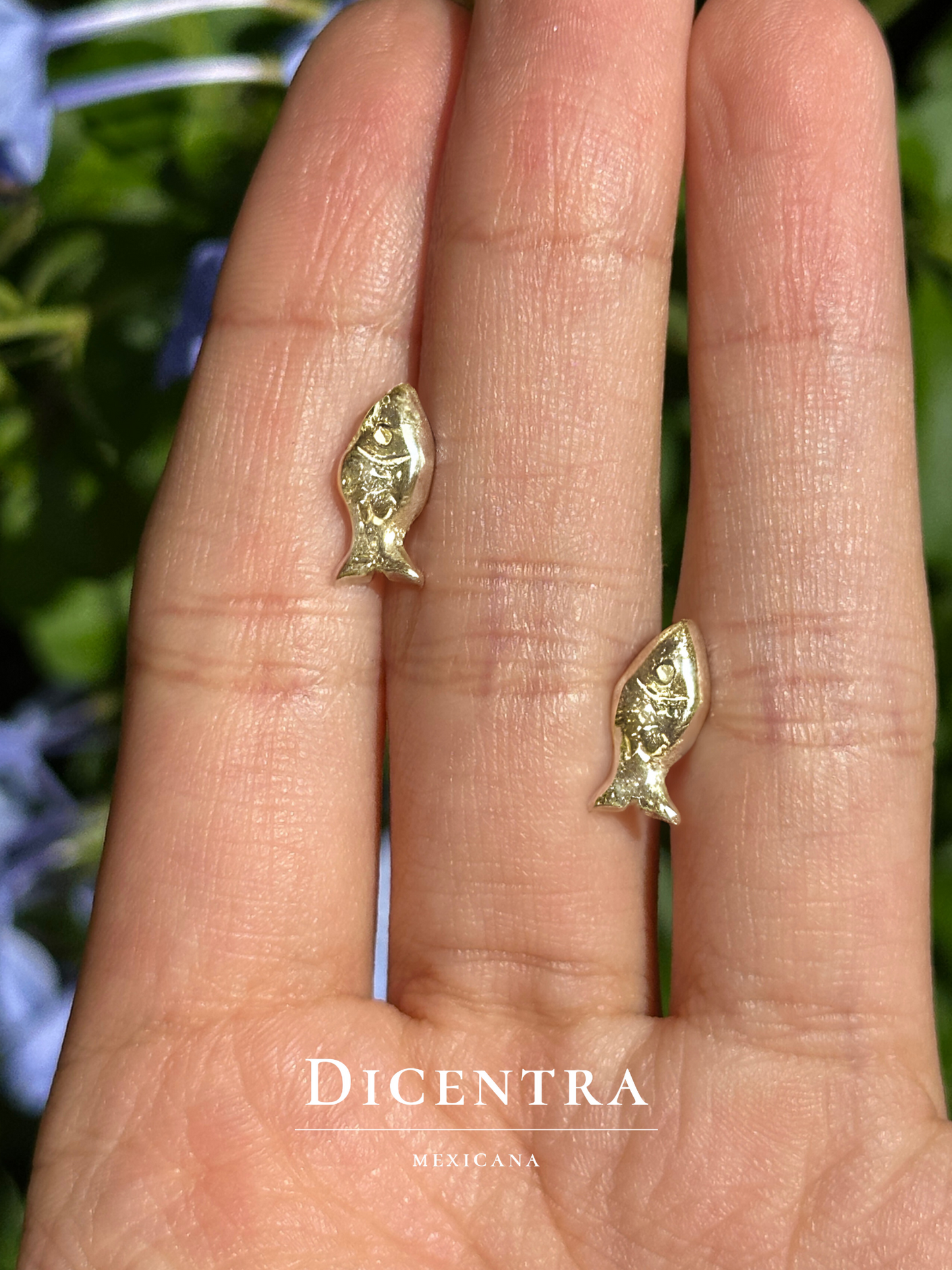 Aretes Gupi