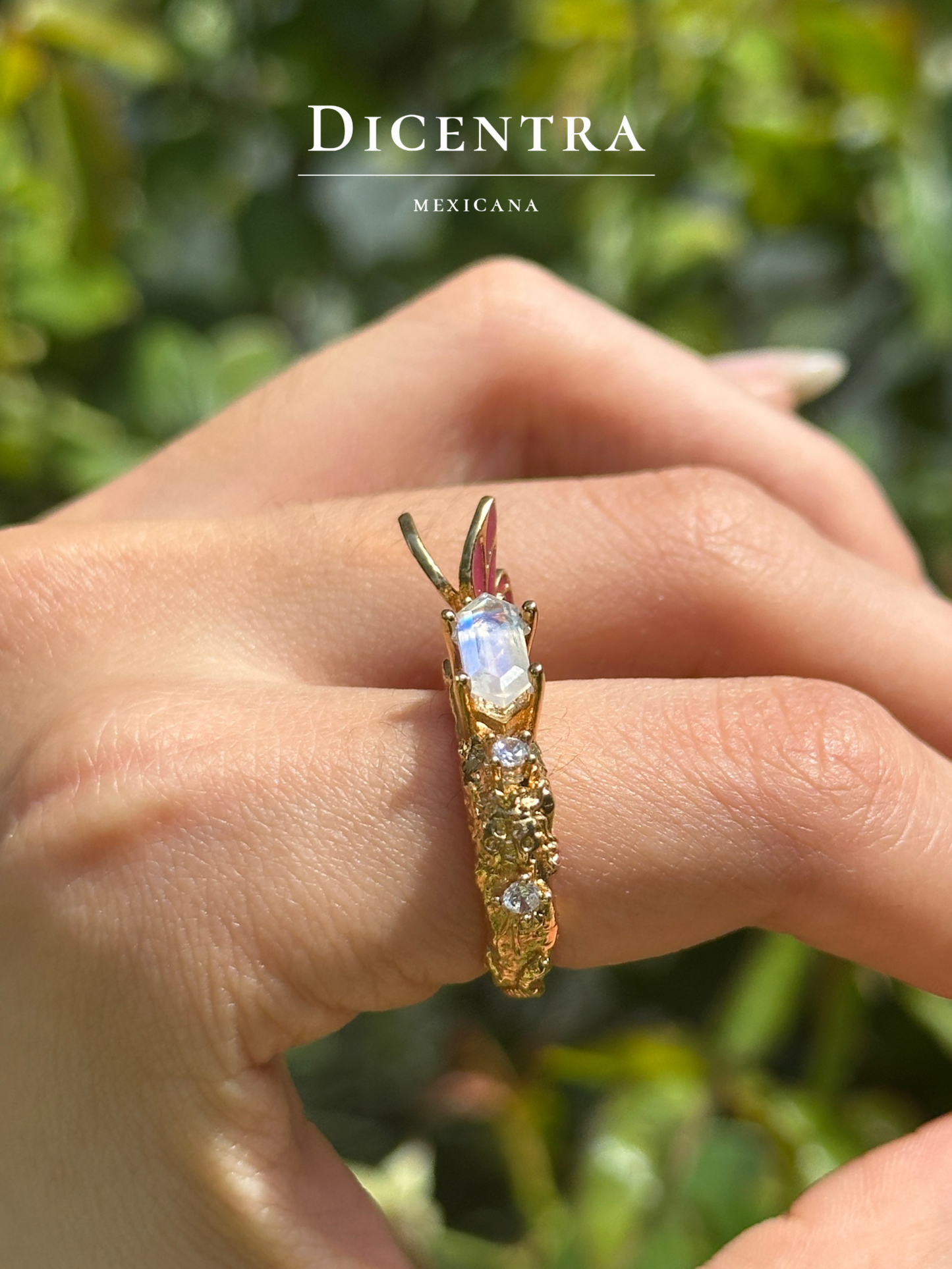 Anillo Mariposa (intervenido)