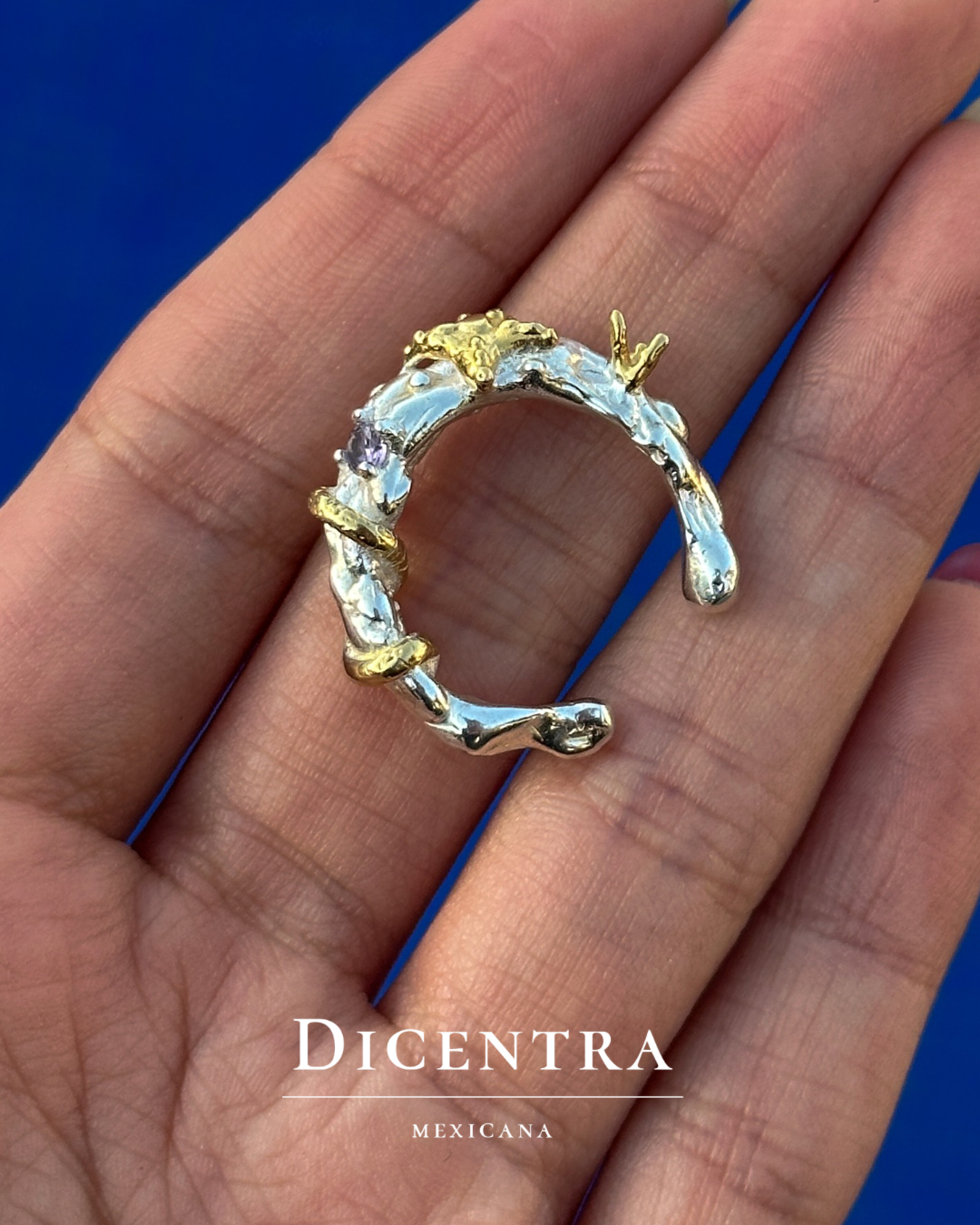 Anillo mar