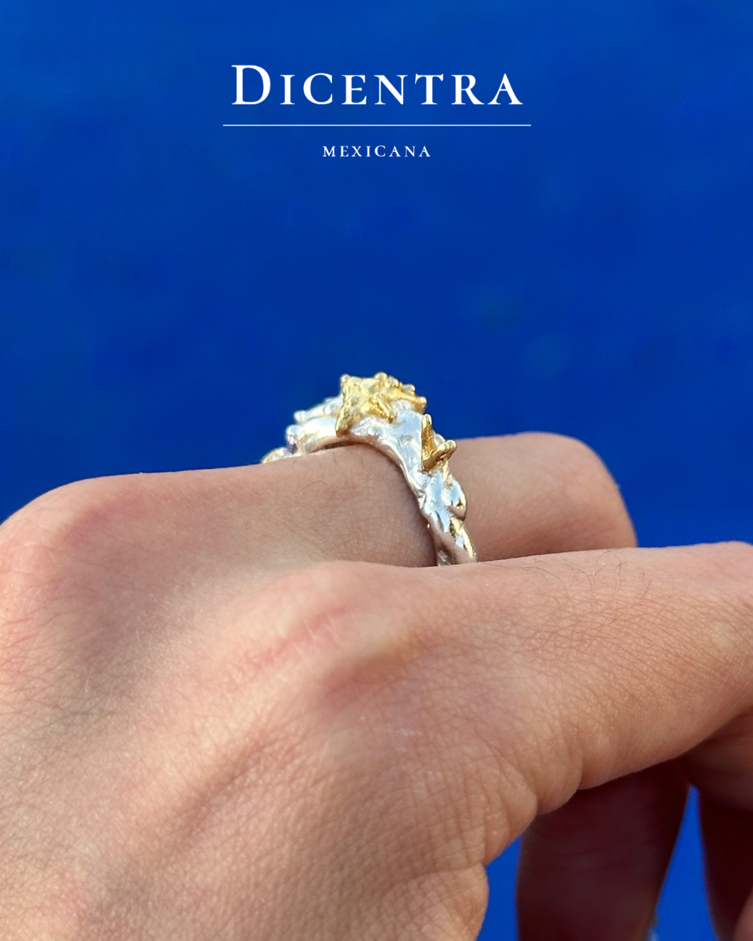 Anillo mar