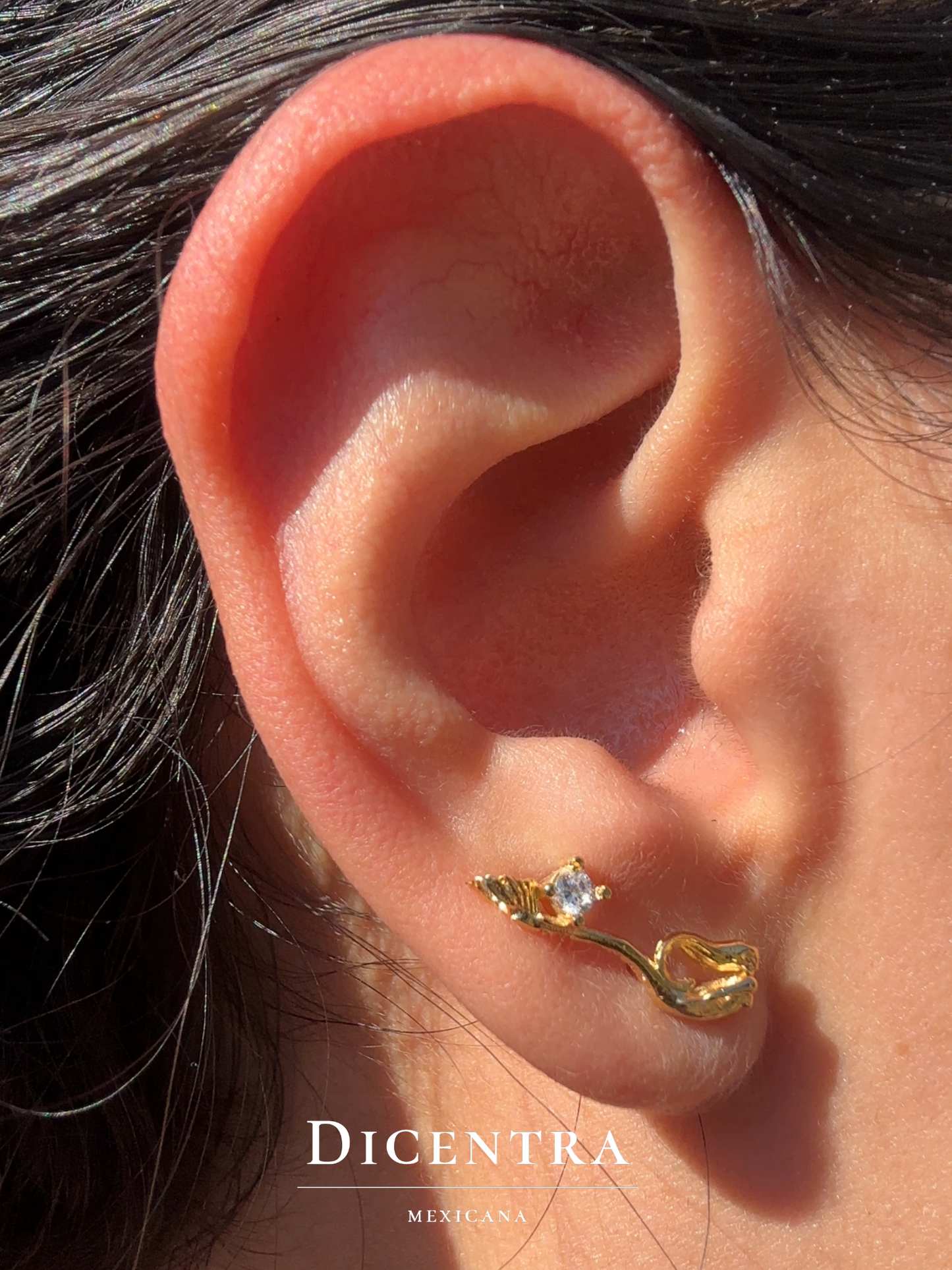 Aretes Sirena