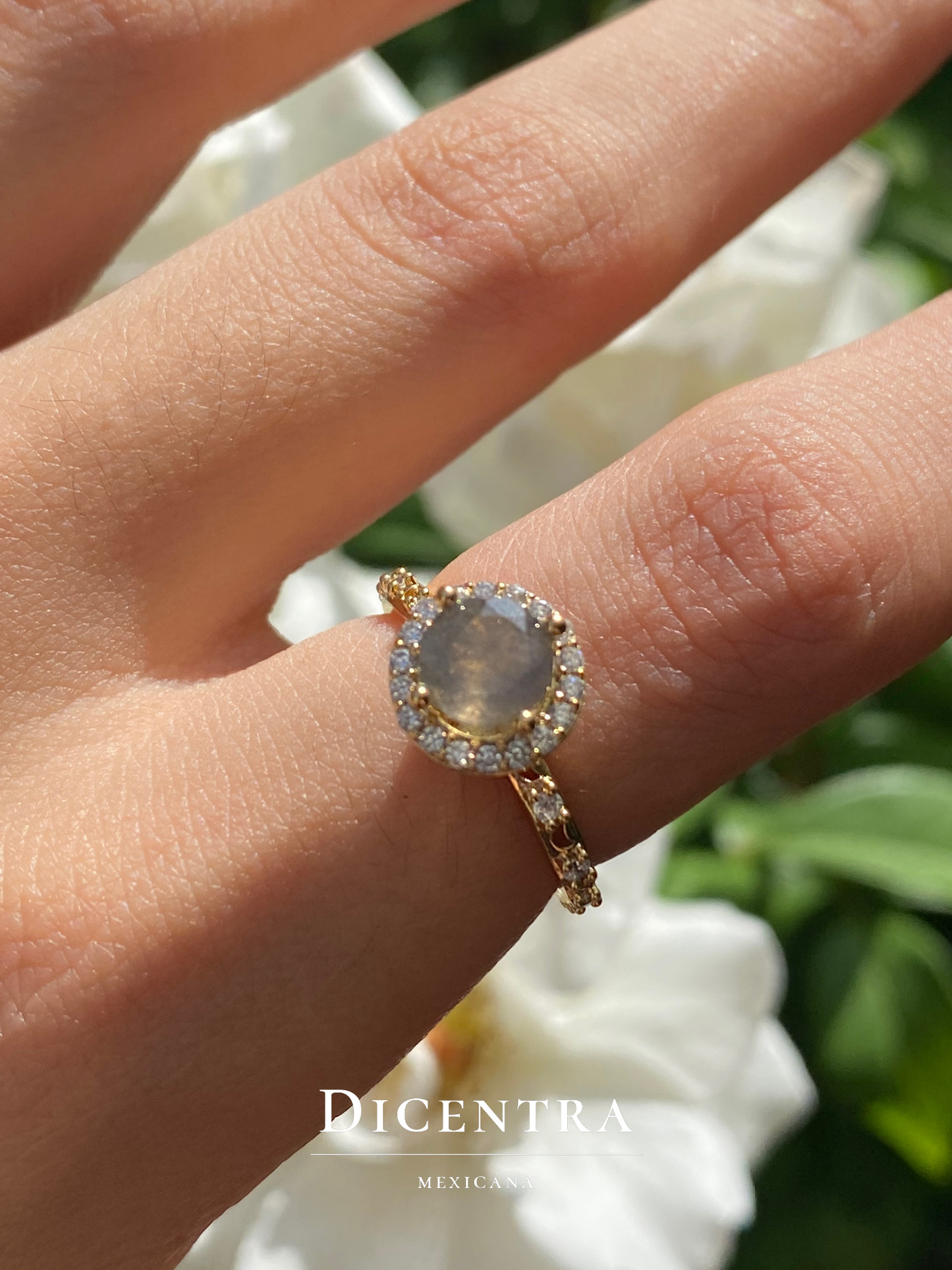 Anillo Fátima Labradorita