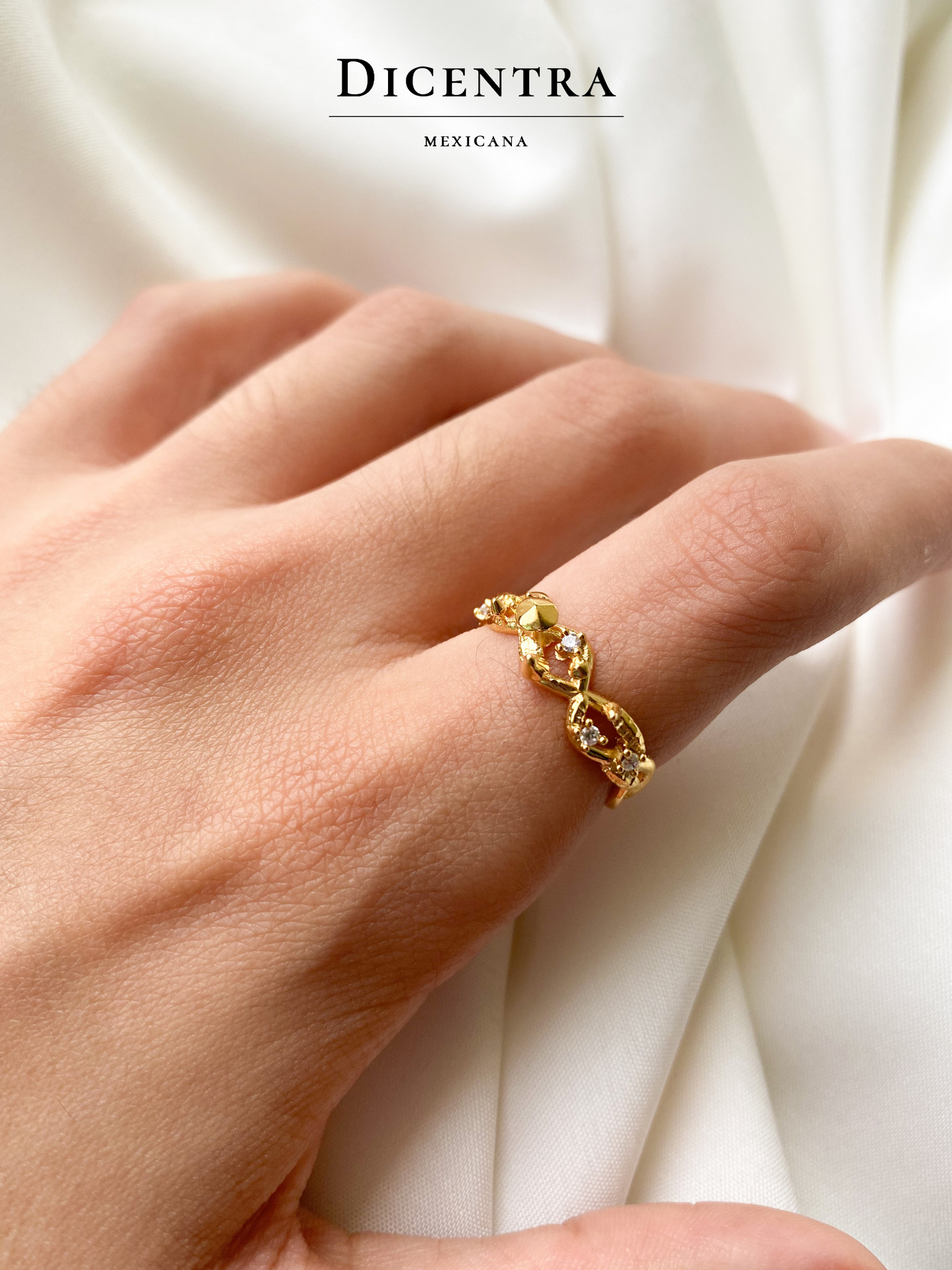 Anillo Reino Fungi
