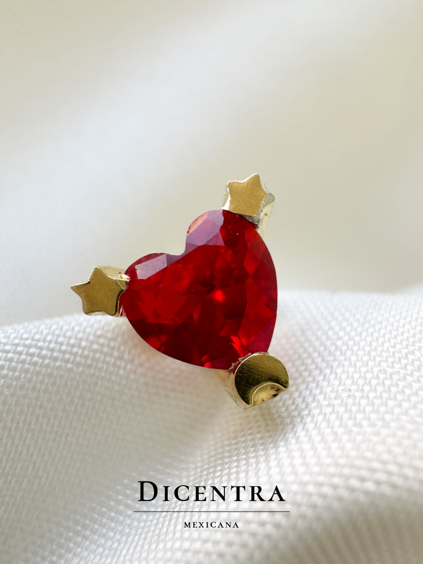 Aretes Amor
