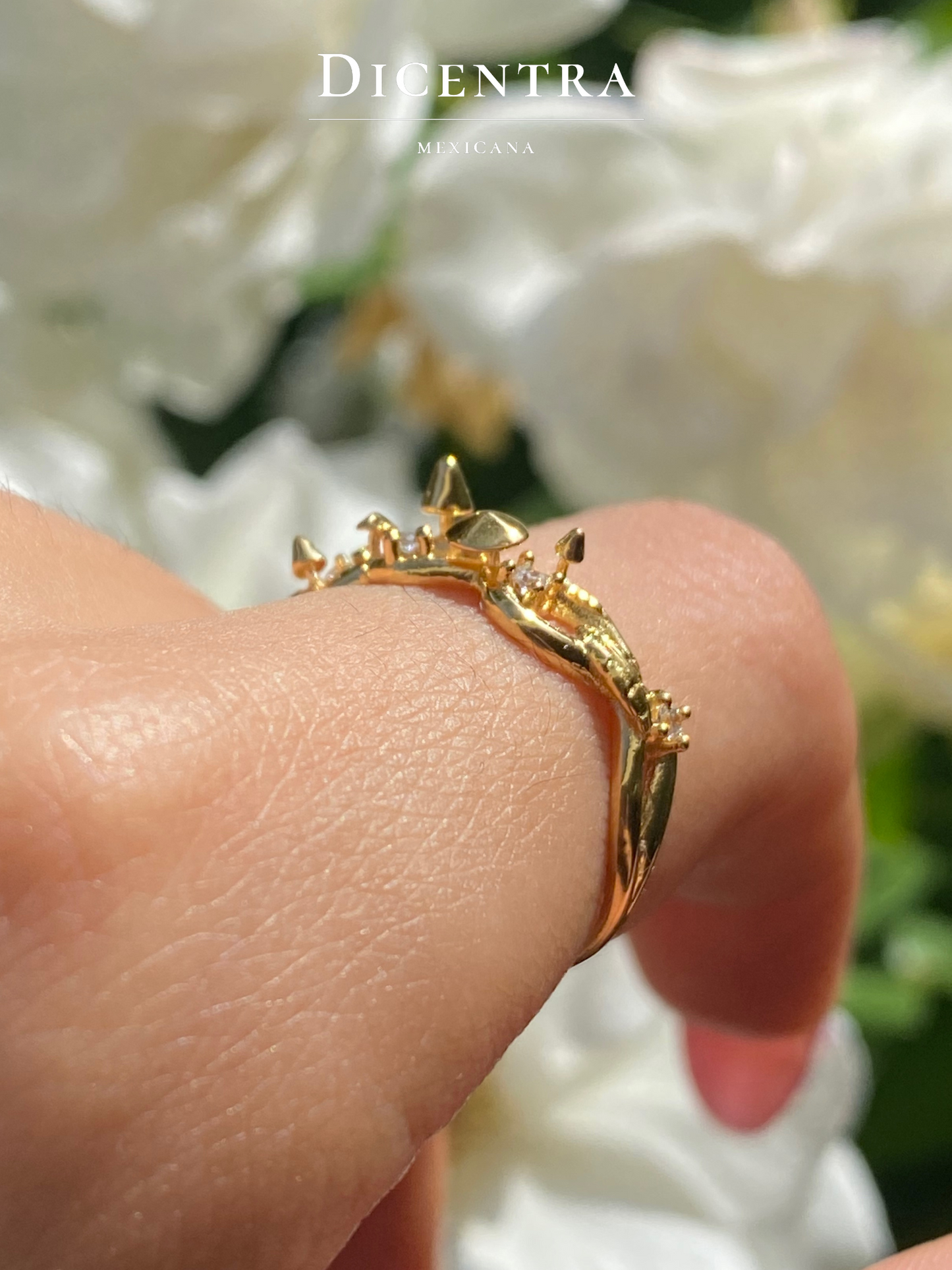 Anillo Reino Fungi