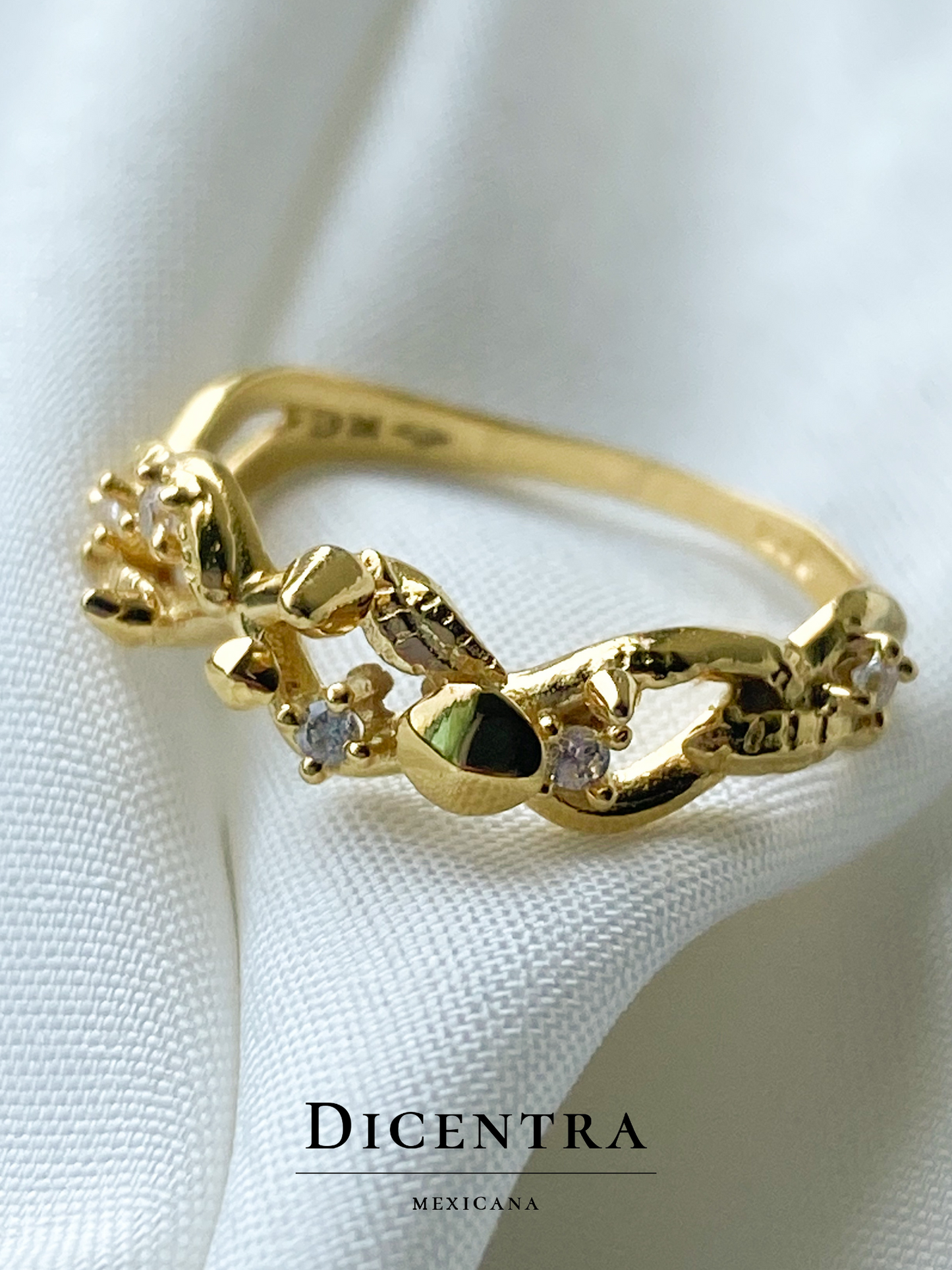 Anillo Reino Fungi