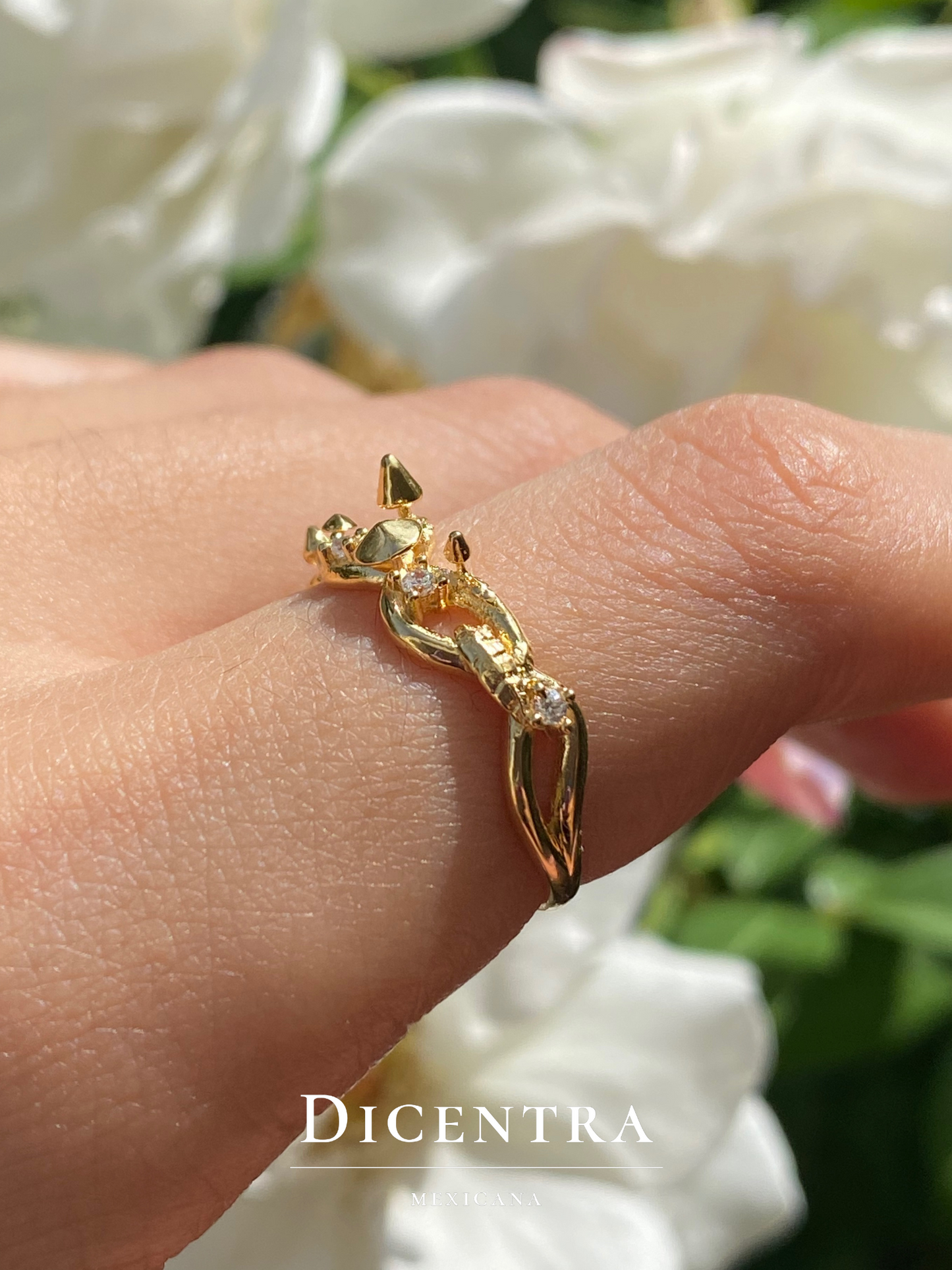 Anillo Reino Fungi