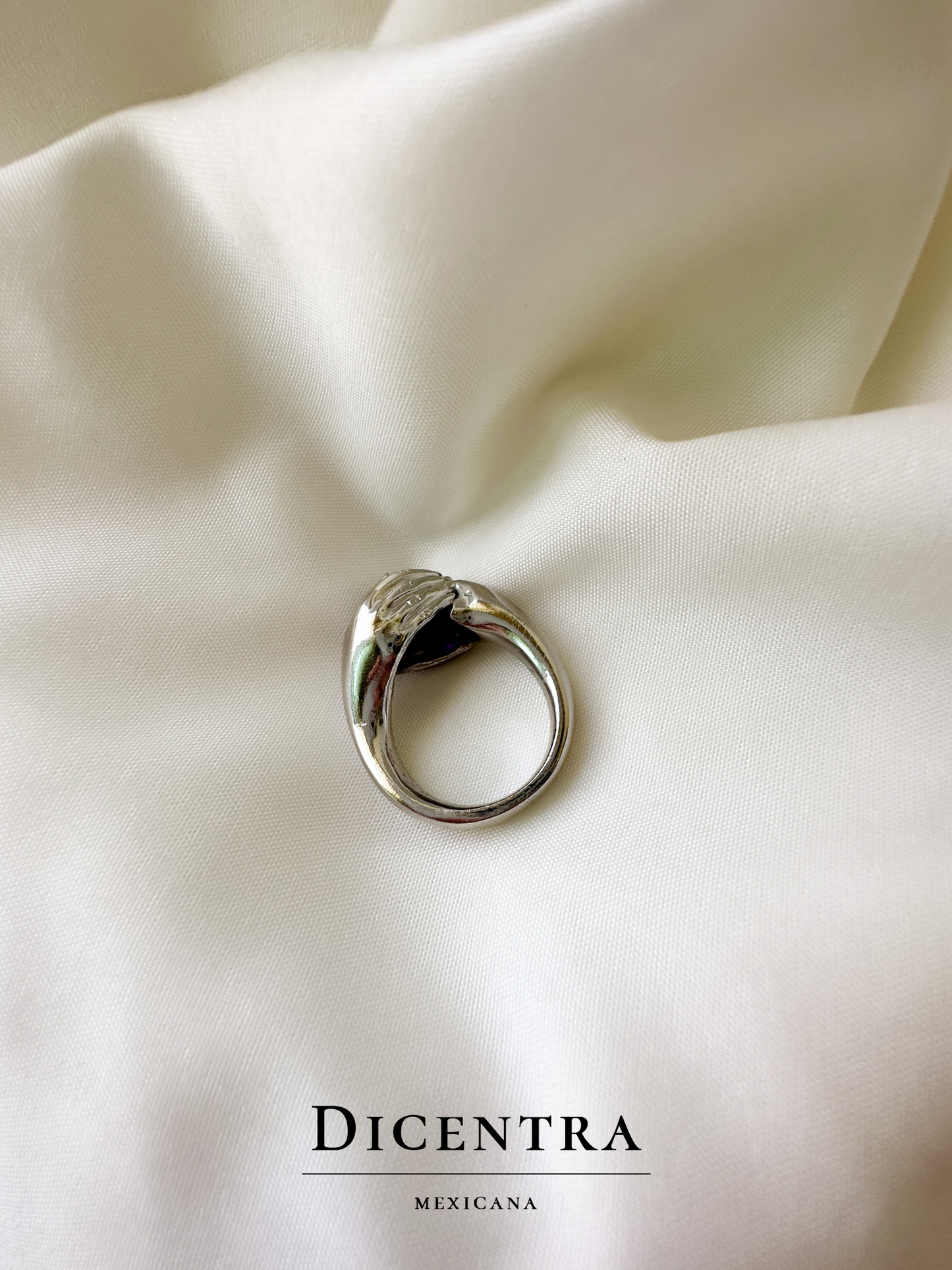 Anillo amor eterno Amatista