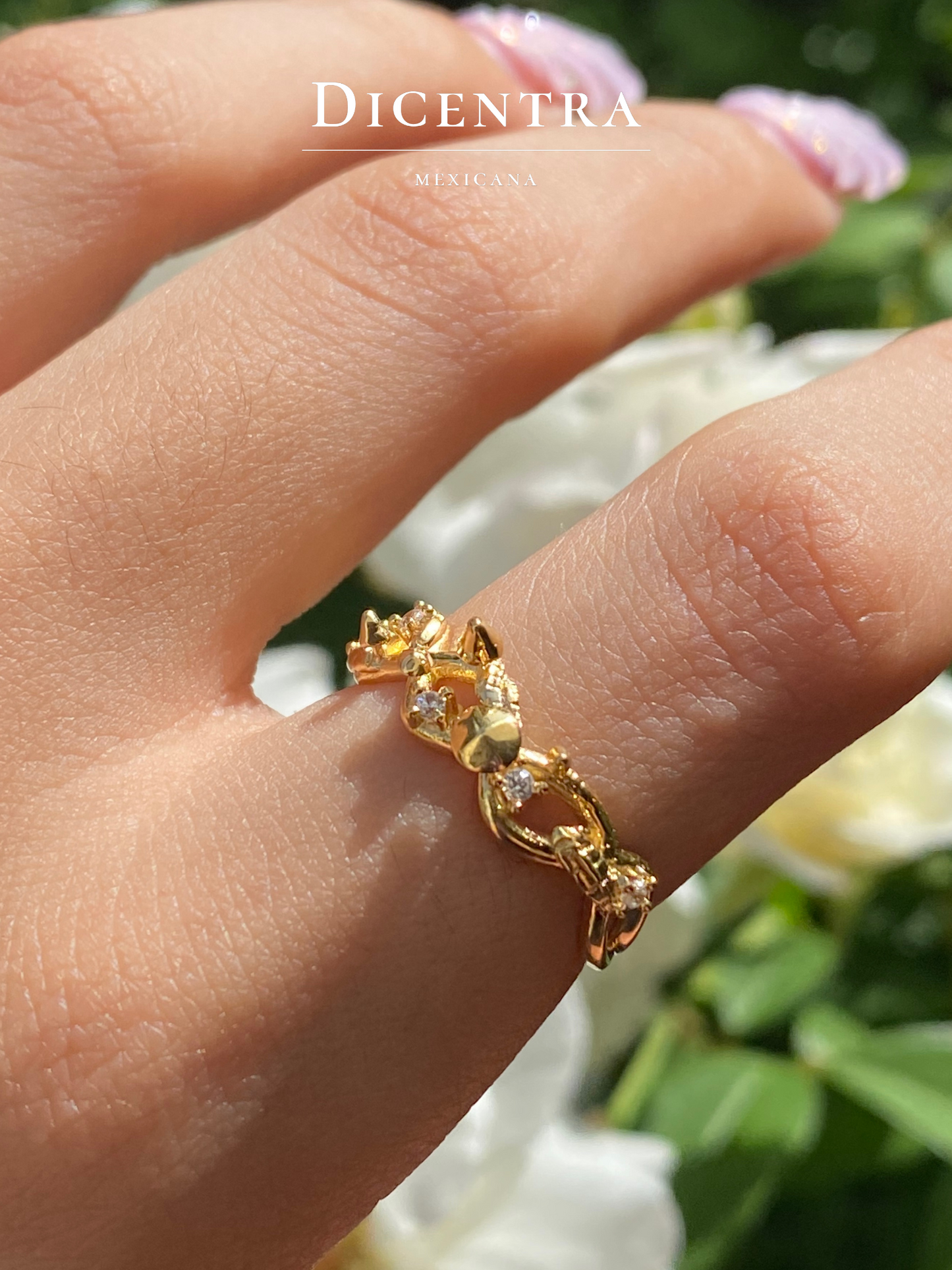 Anillo Reino Fungi