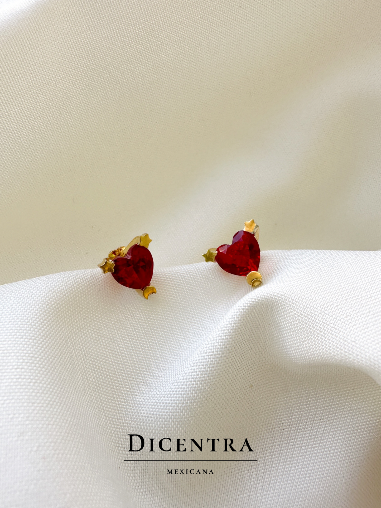 Aretes Amor