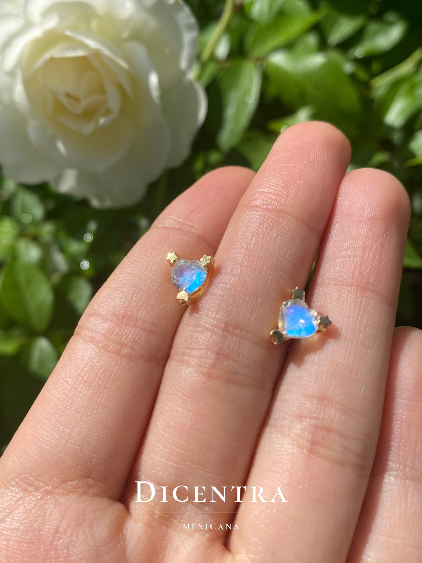 Aretes Amor (Envío inmediato)