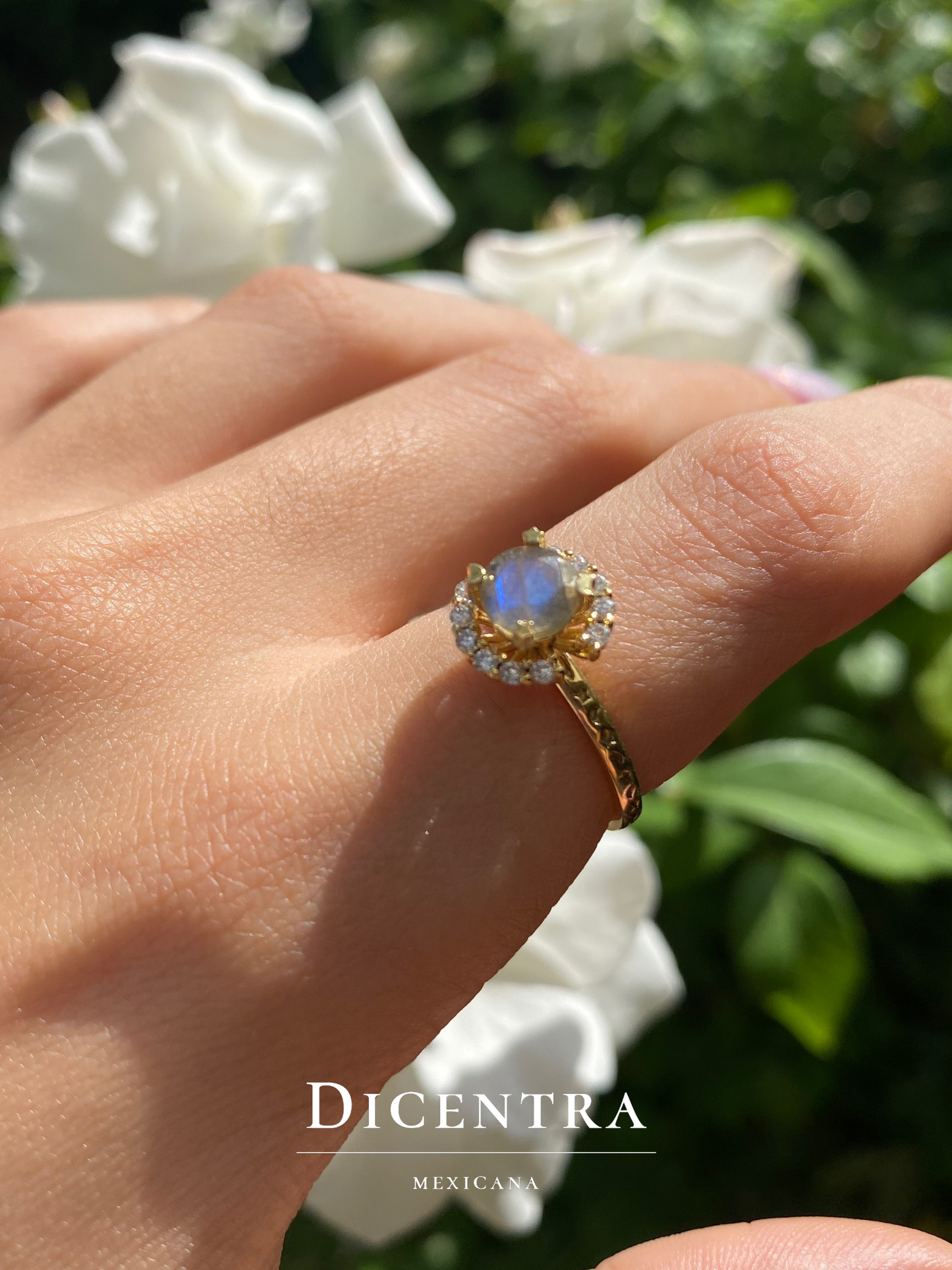 Anillo Reina Hada Labradorita