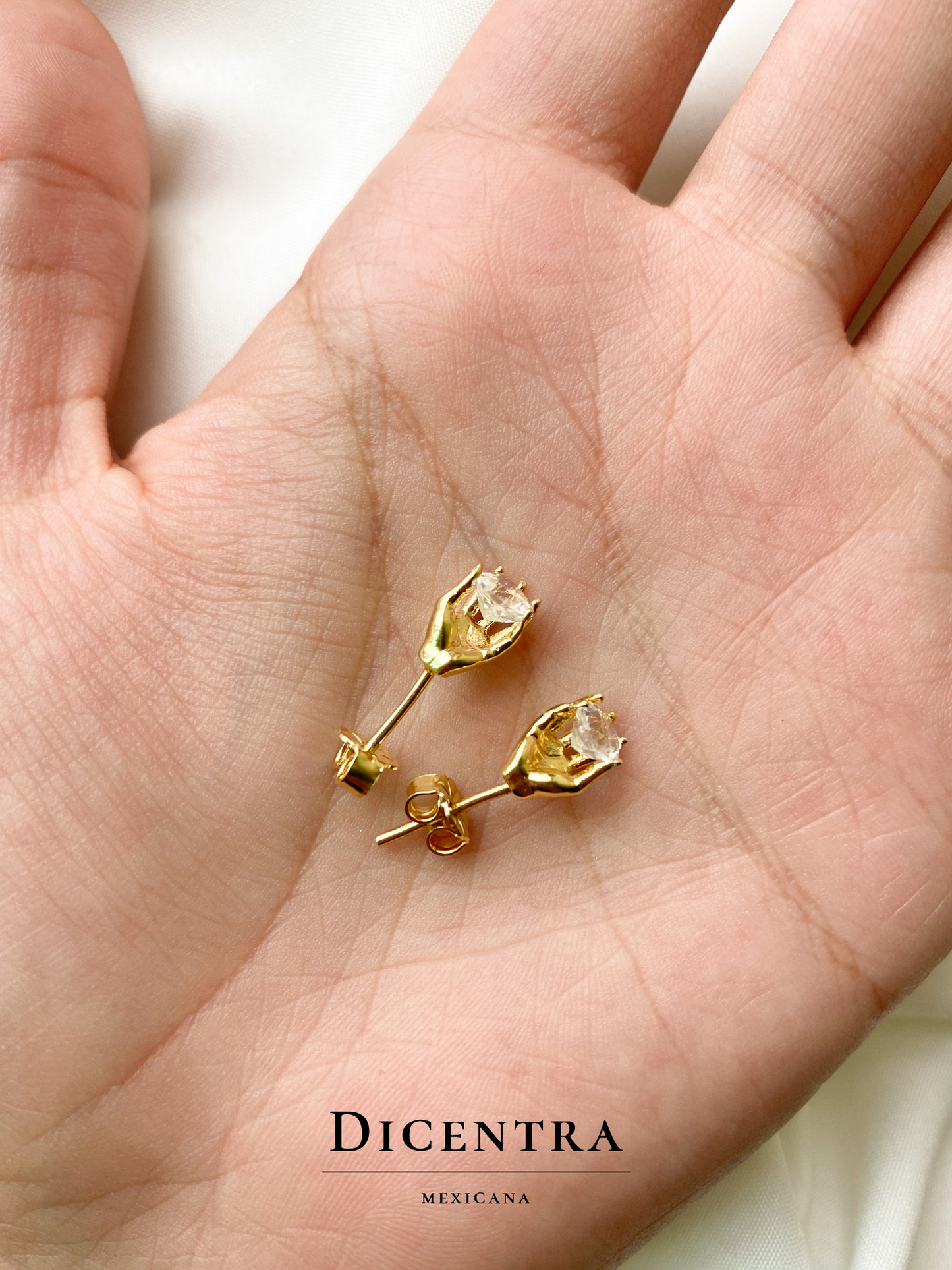 Aretes Decisión