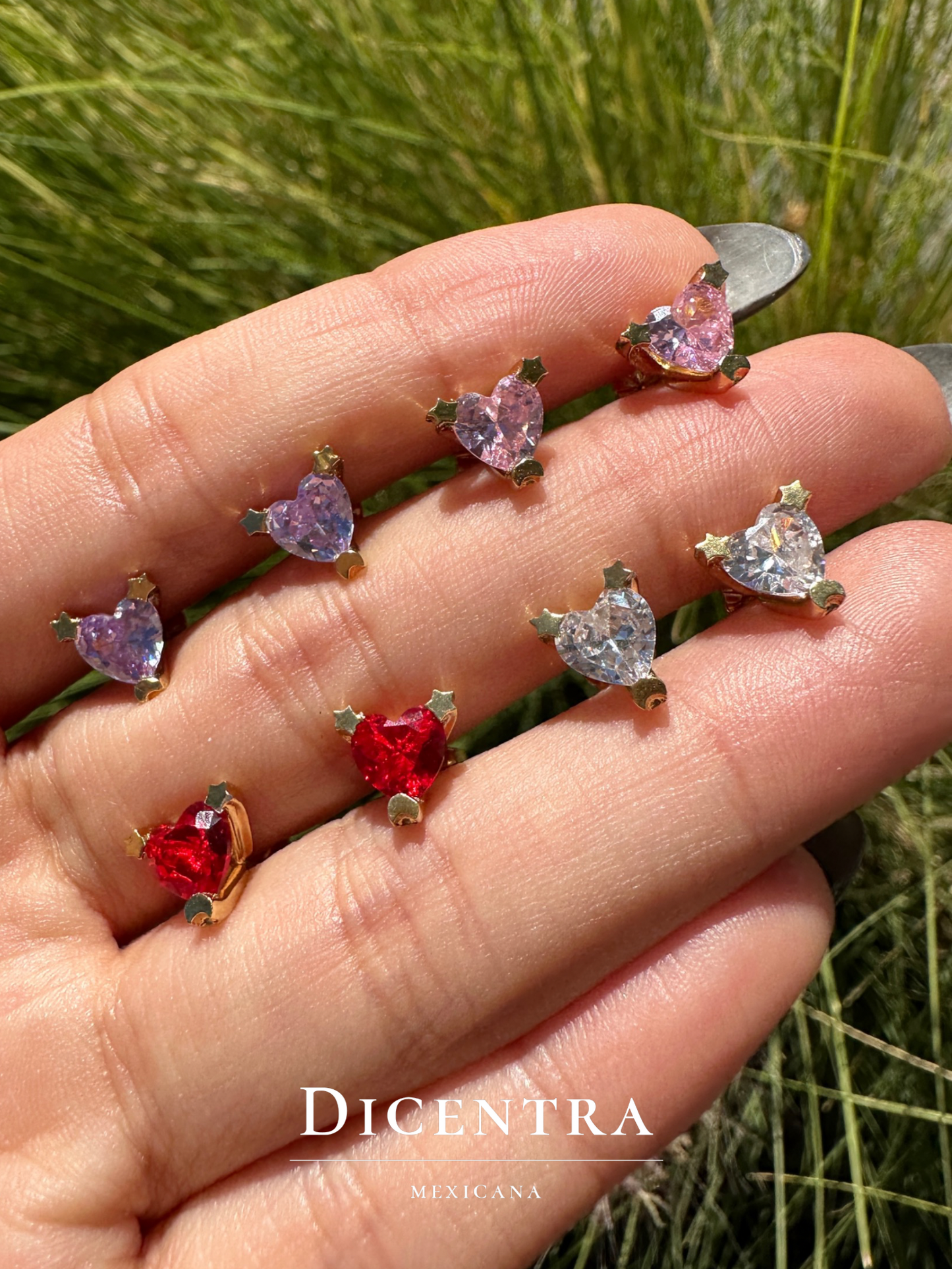 Aretes Amor