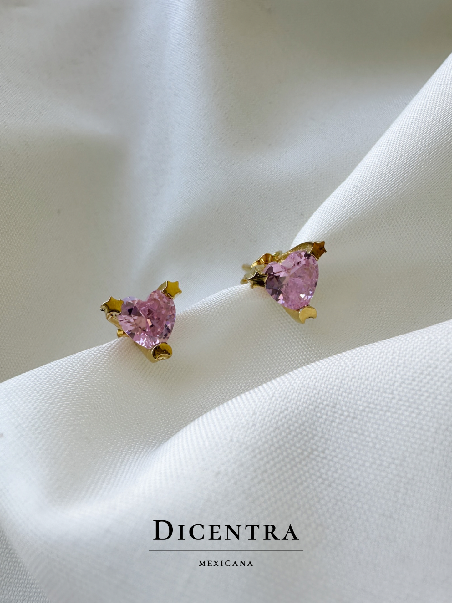Aretes Amor
