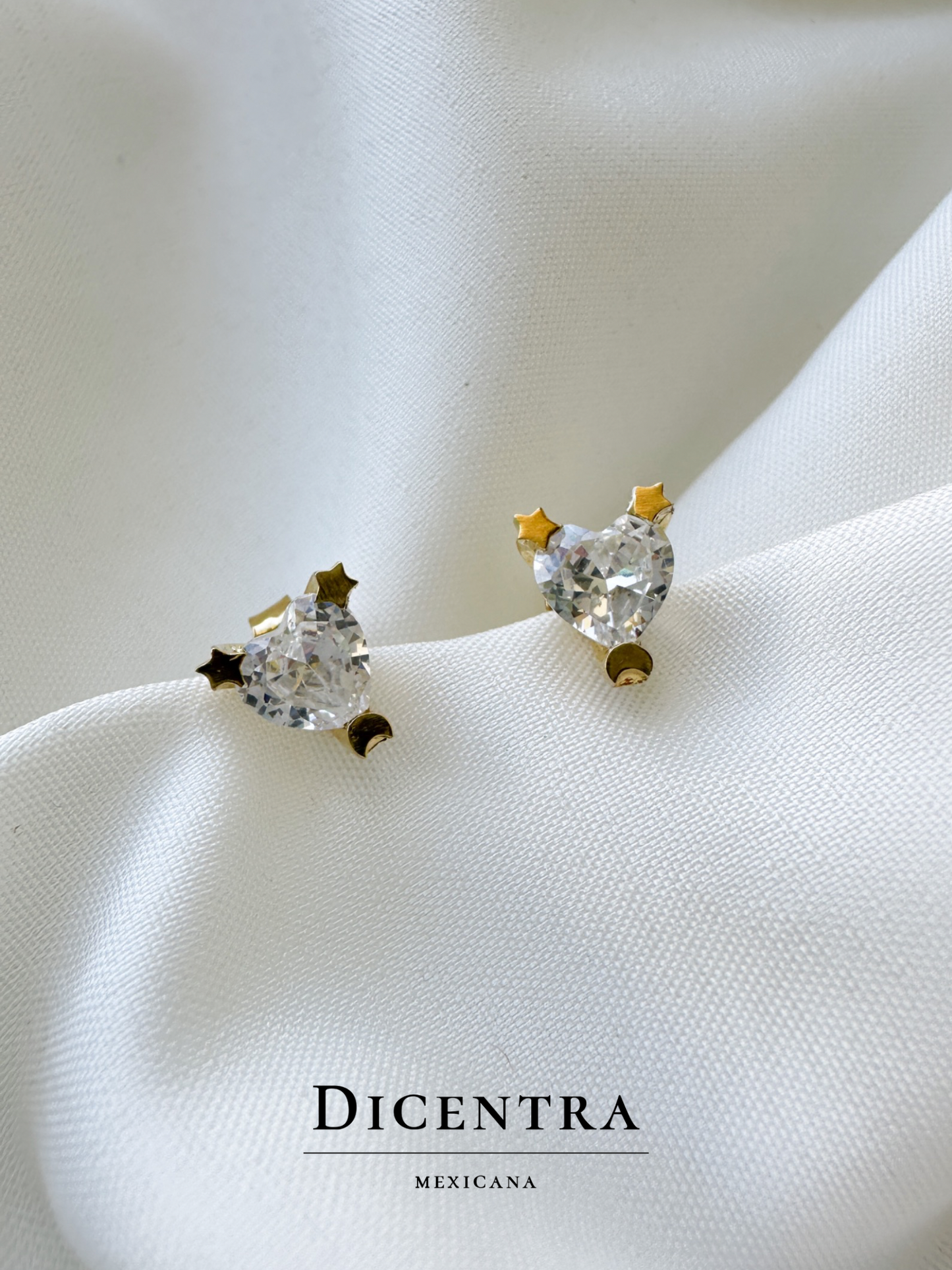 Aretes Amor