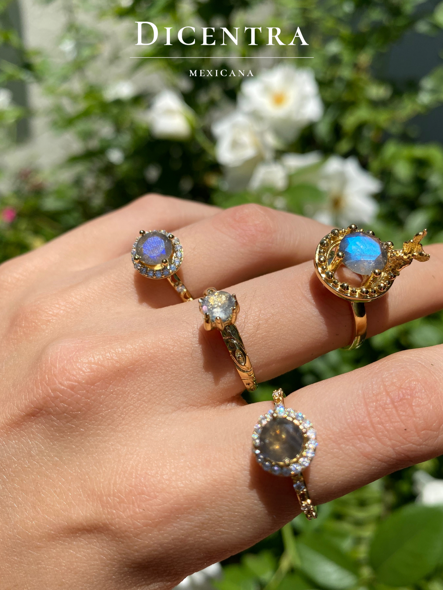Anillo Fátima Labradorita