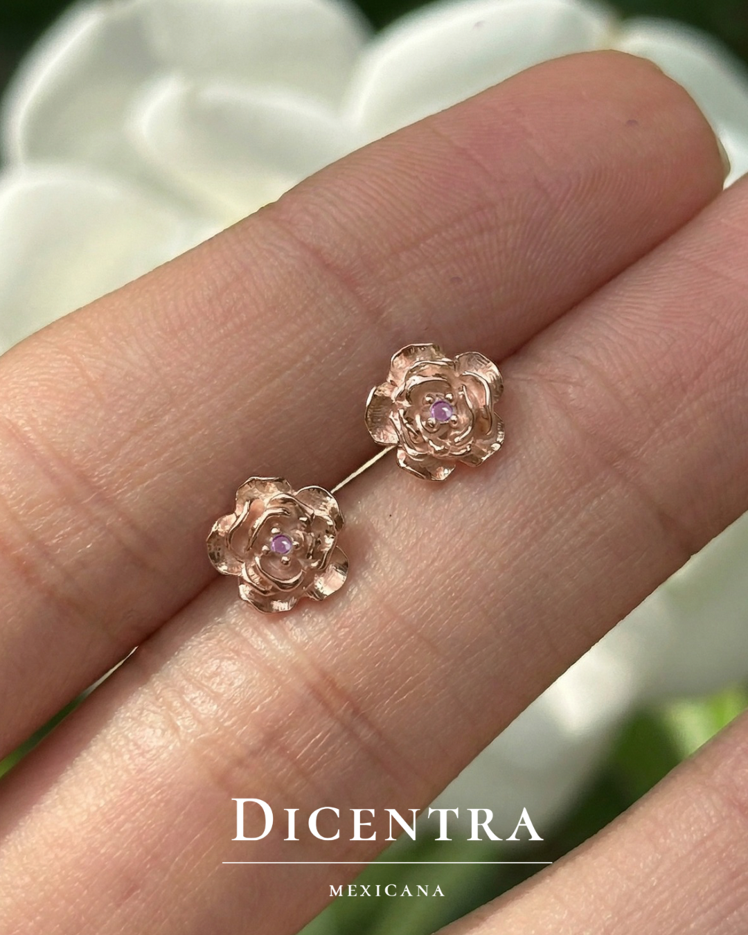 Aretes Rosa