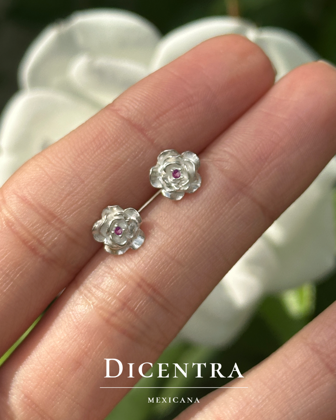 Aretes Rosa