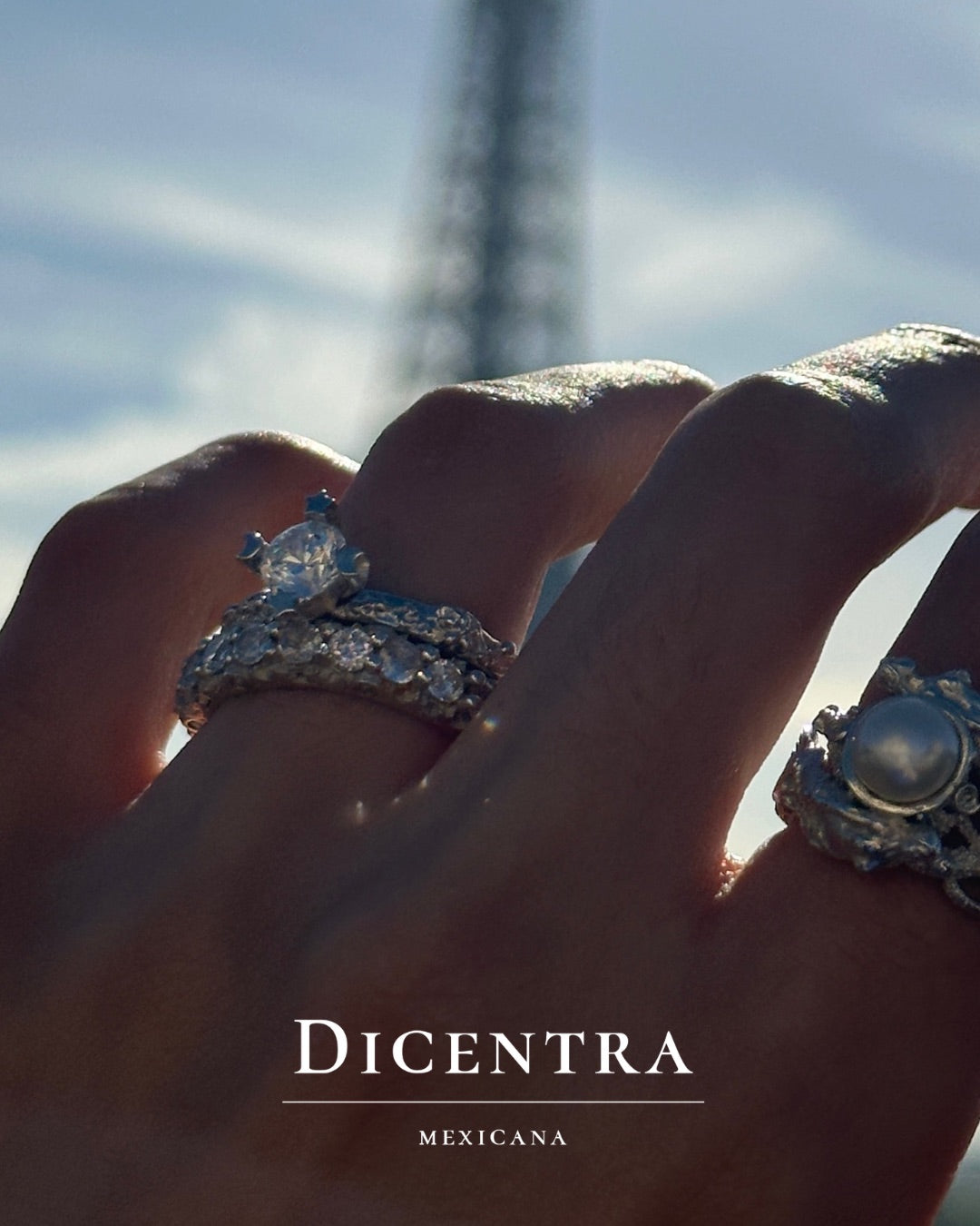 Anillo Bosque de Noche