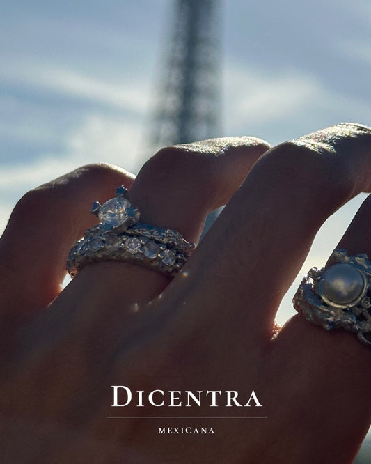 Anillo Bosque de Noche