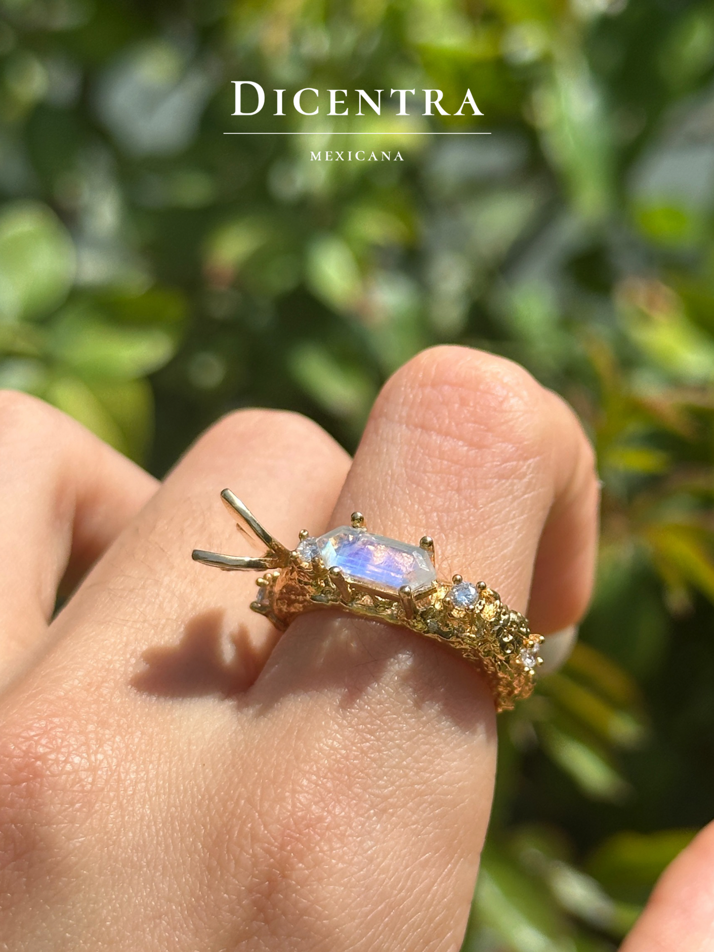 Anillo Mariposa (intervenido)