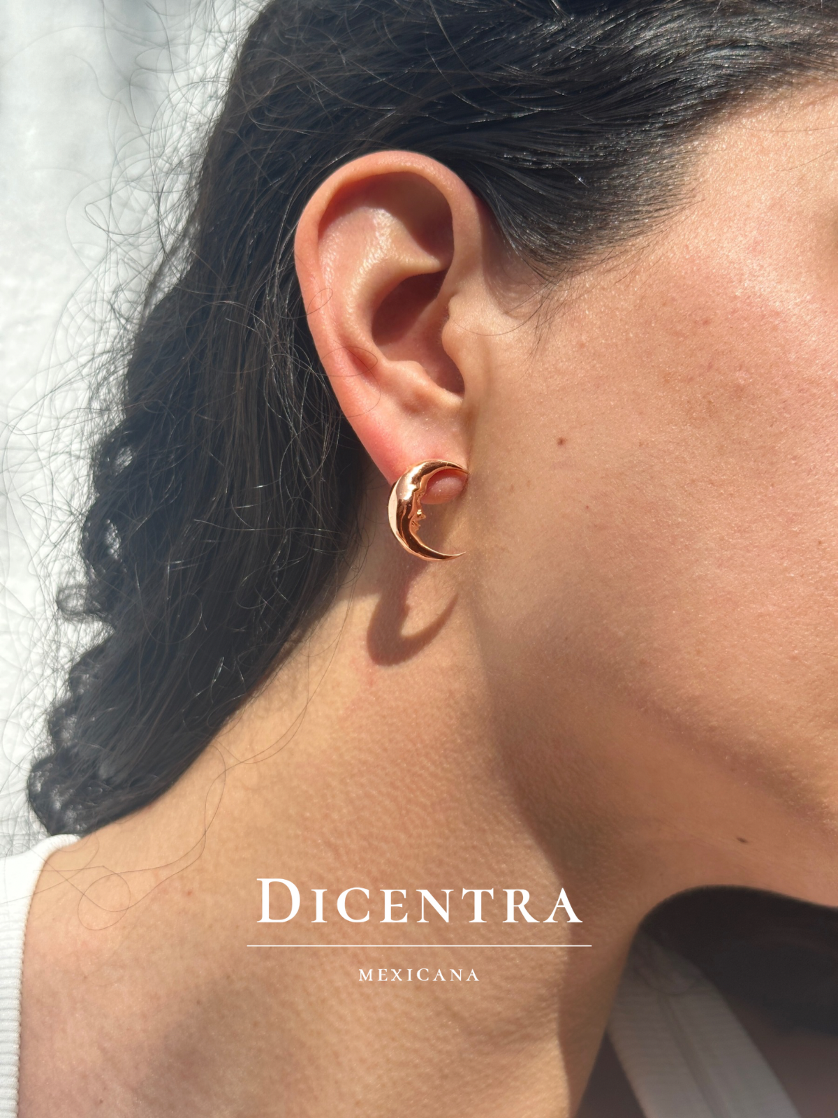 Aretes Luna