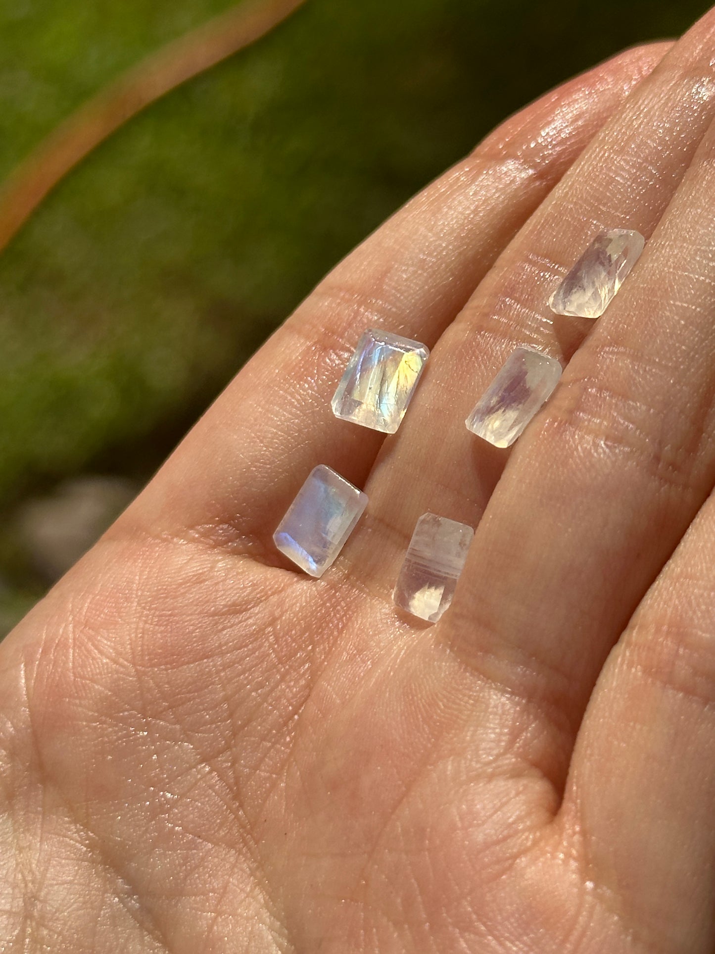 Anillo Lara Piedra Luna