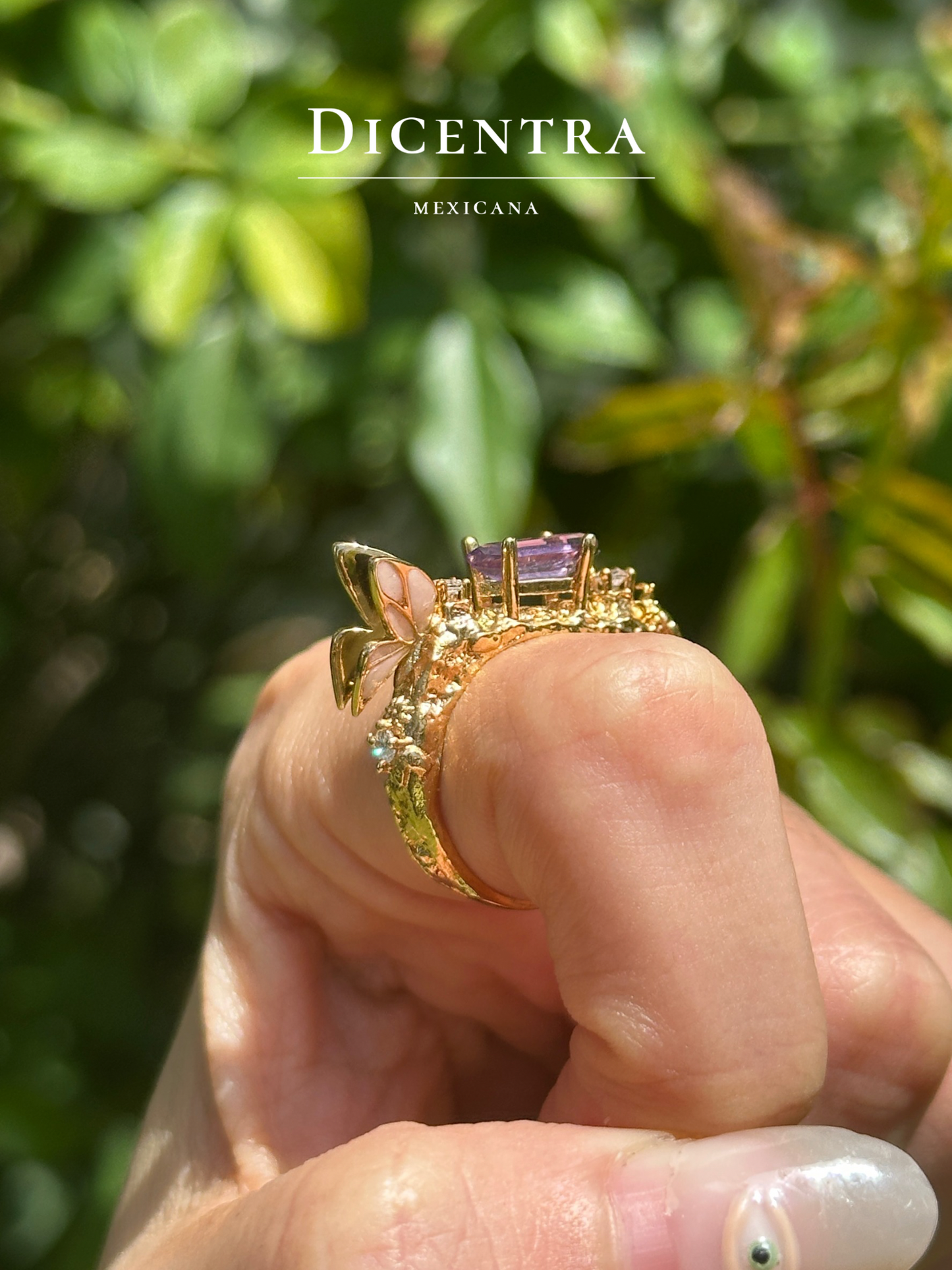 Anillo Mariposa (intervenido)