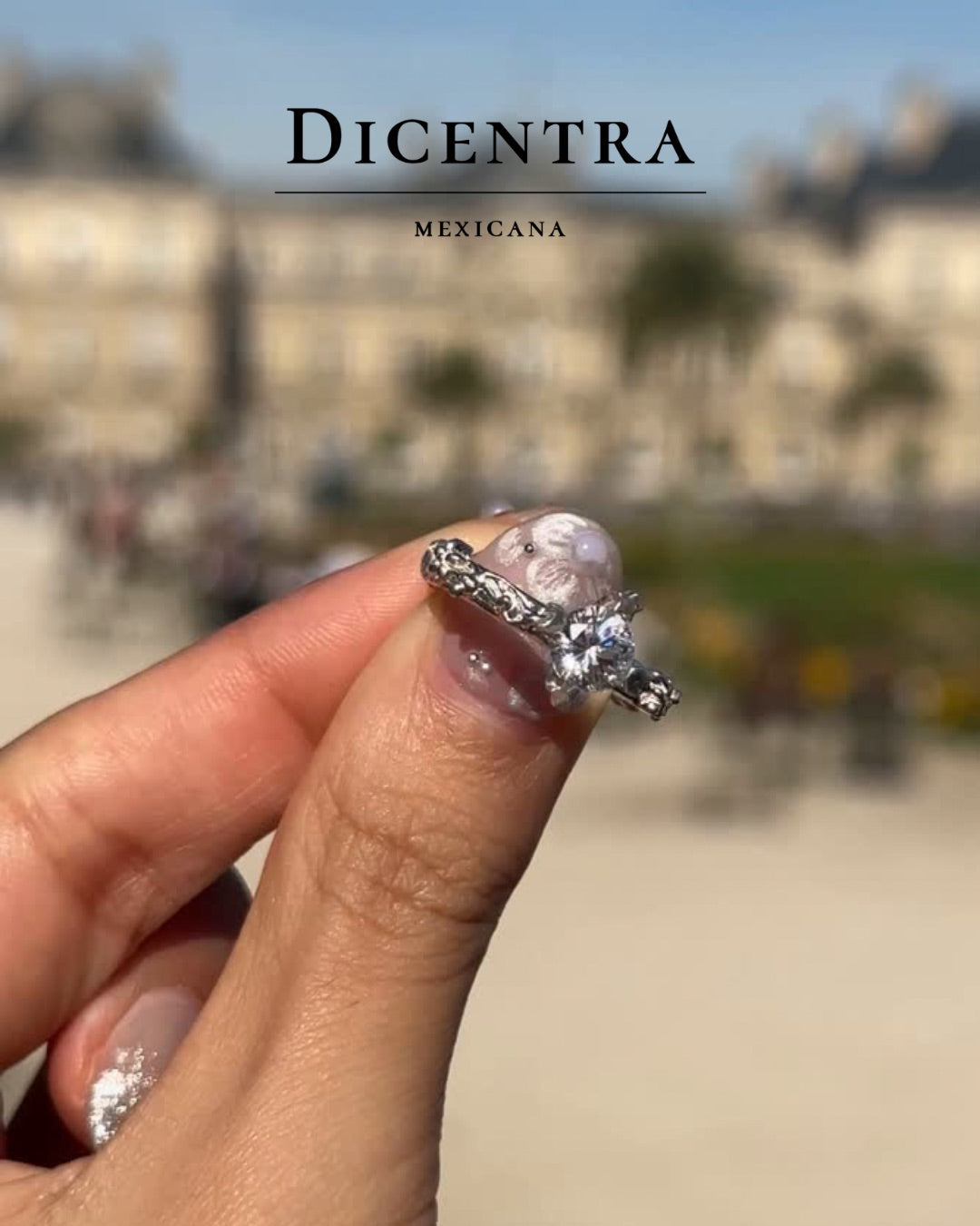 Anillo Bosque de Noche