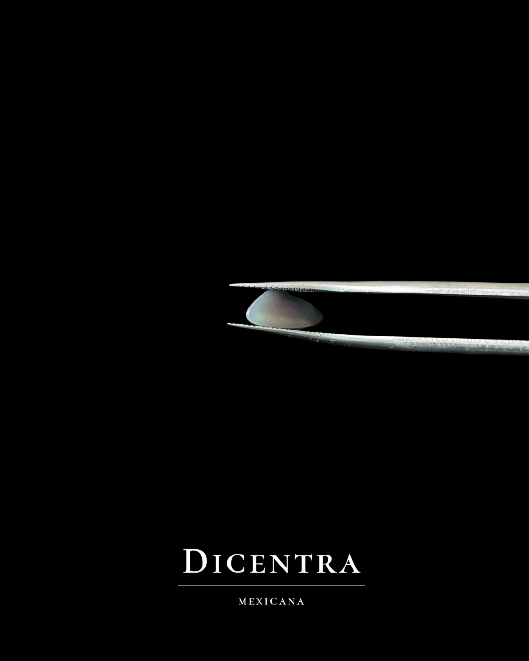 Ópalo negro Australiano #7