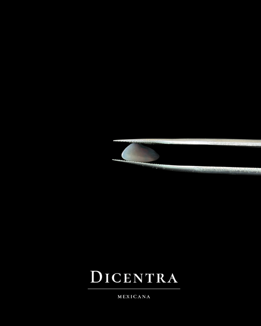 Ópalo negro Australiano #7