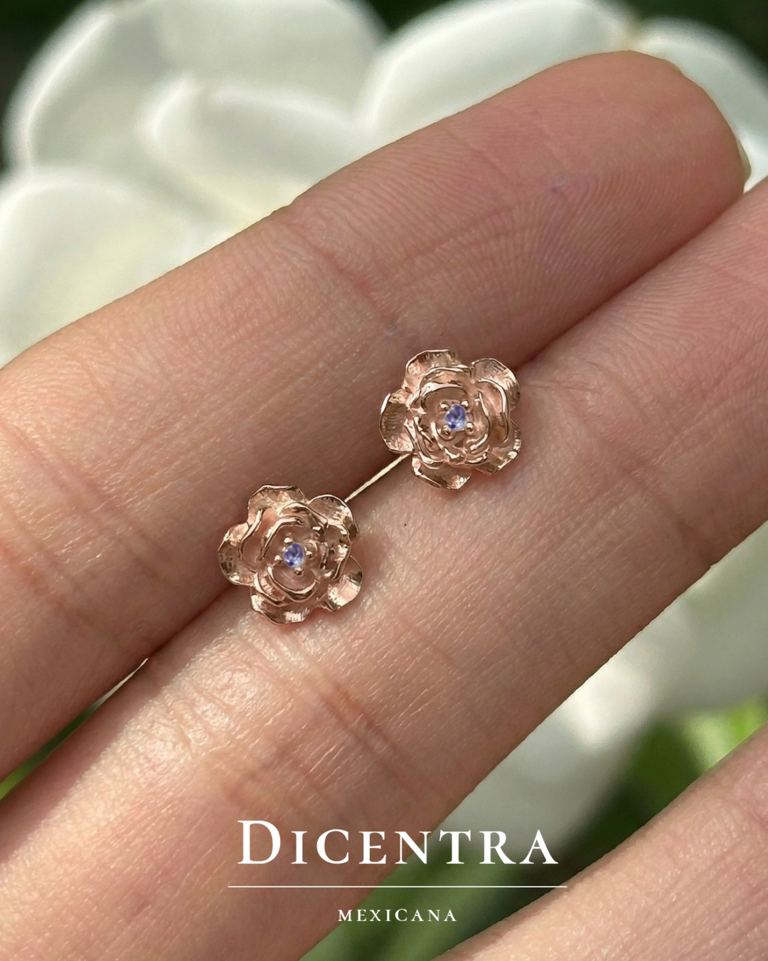 Aretes Rosa