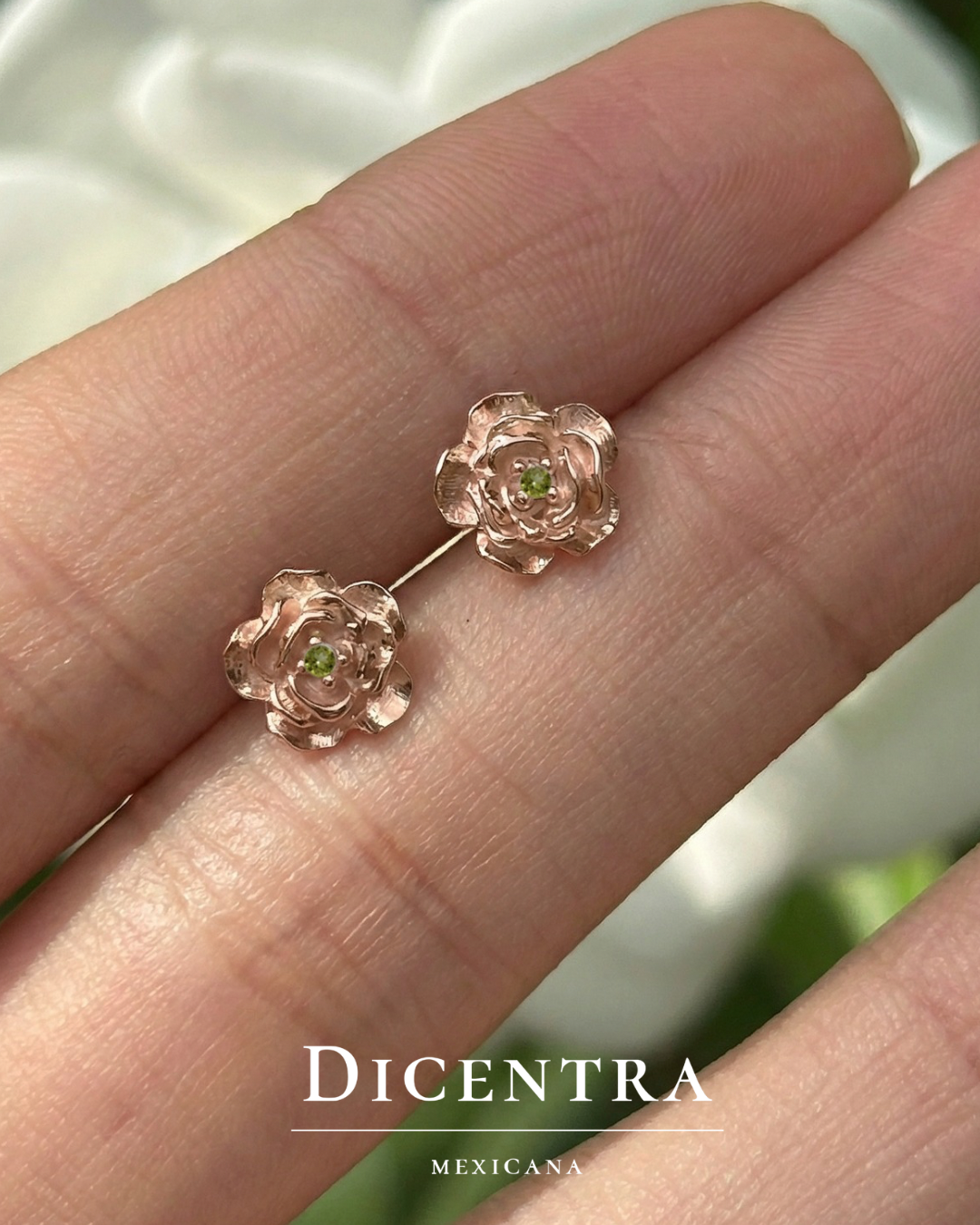 Aretes Rosa