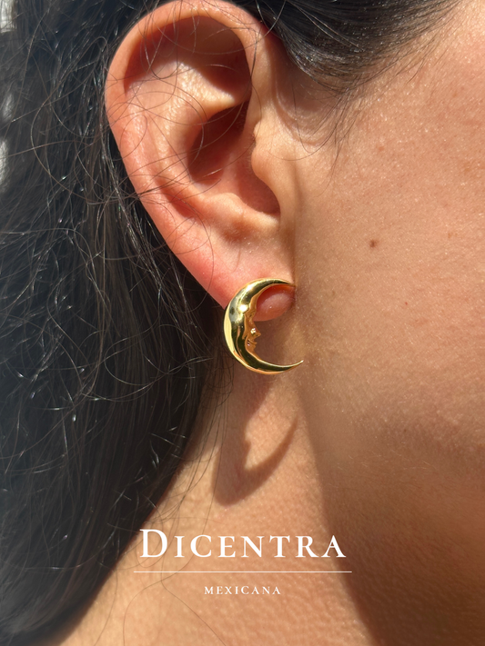 Aretes Luna