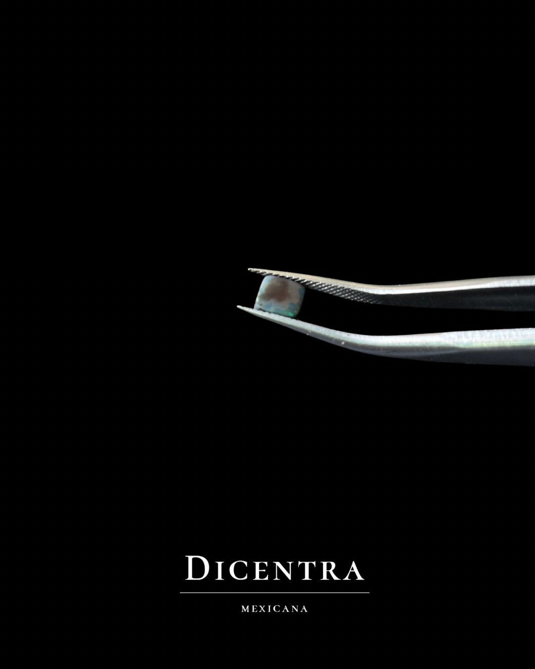 Ópalo negro Australiano #1