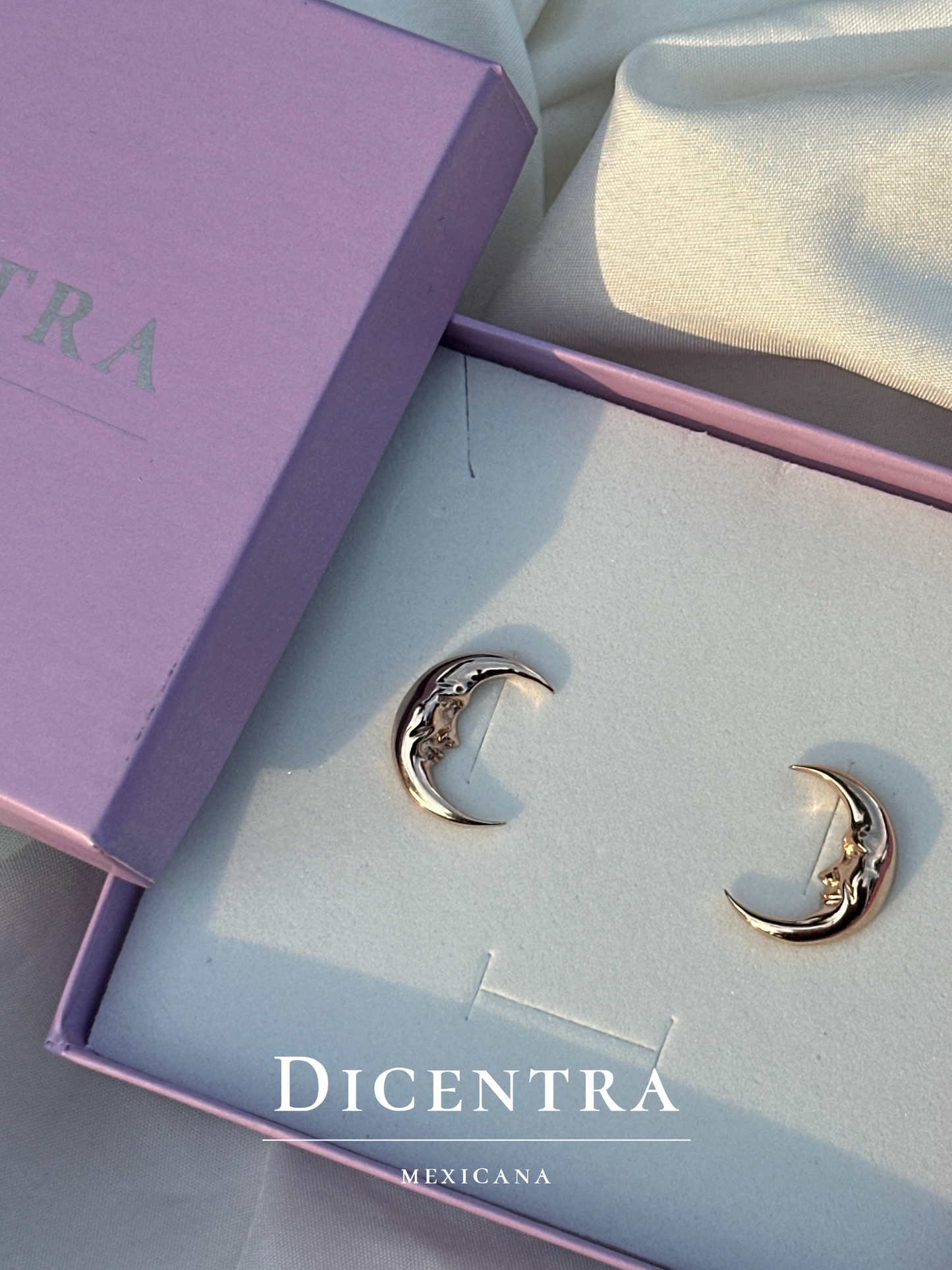 Aretes Luna