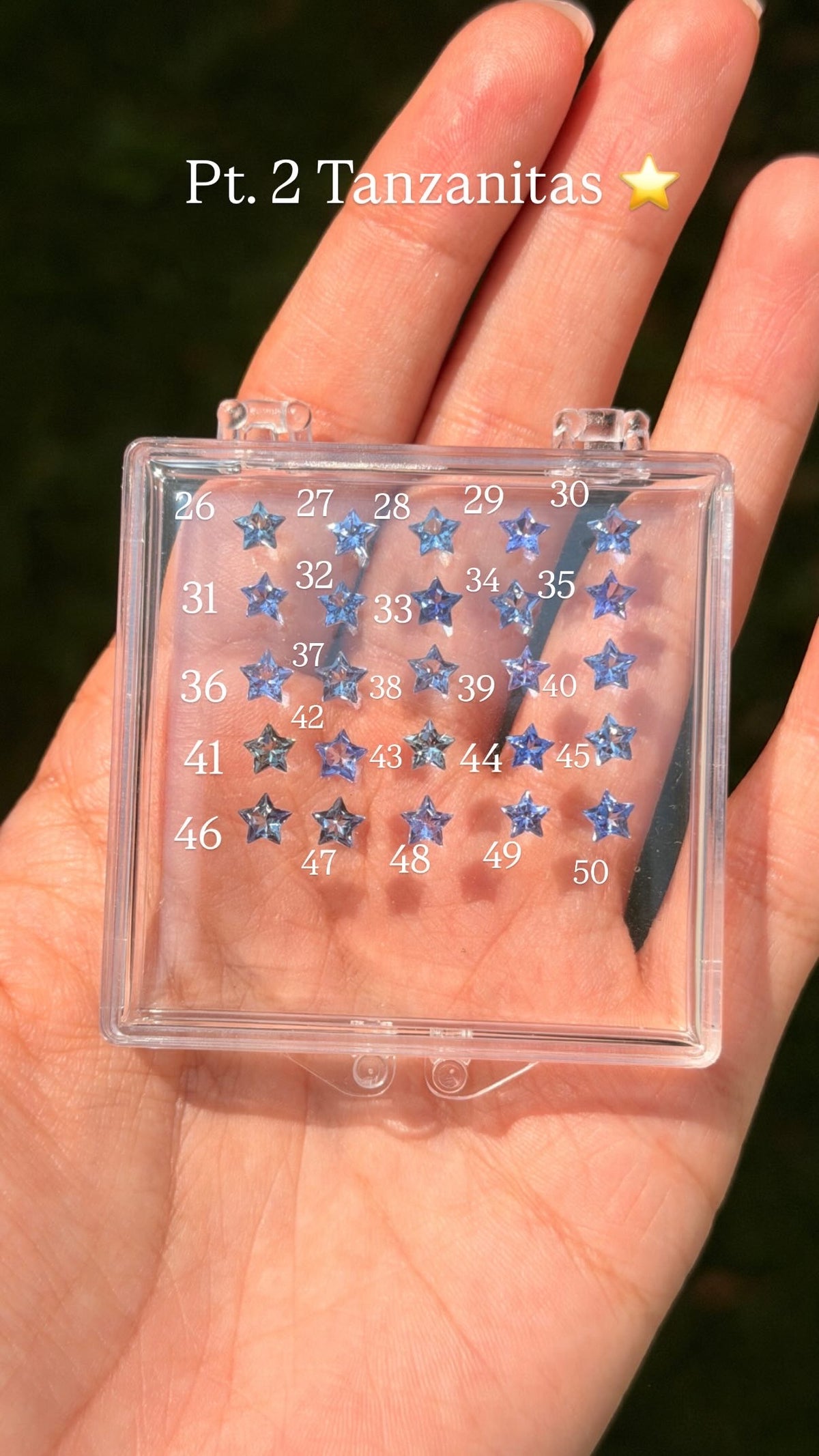 Aretes Mariposa (estrella de Tanzanita)